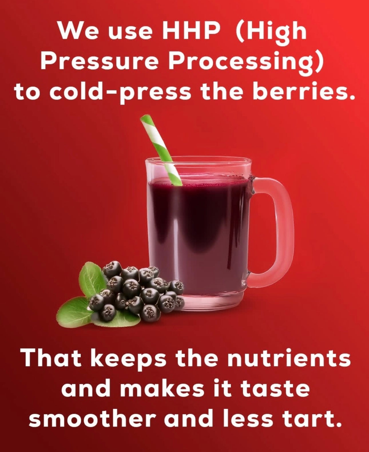 12 Pack AroJuice - Best Tasting Aronia Juice, Best Antioxidant Juice. Best Fruit Juice for Family