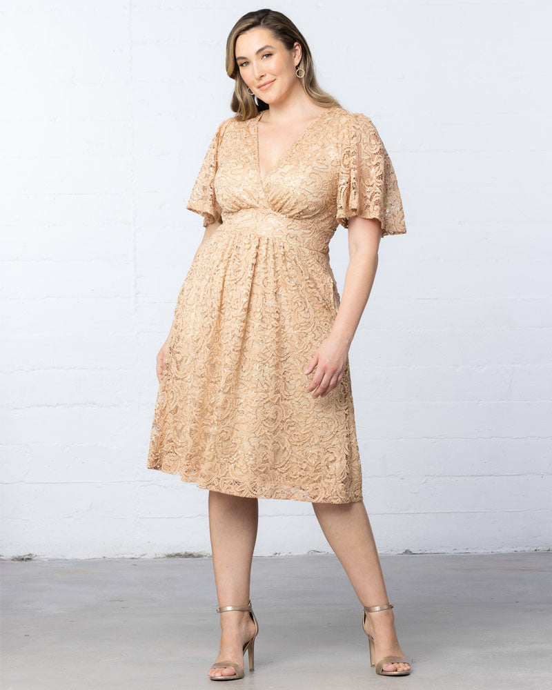 Plus Size Starry Sequined Lace Cocktail Dress