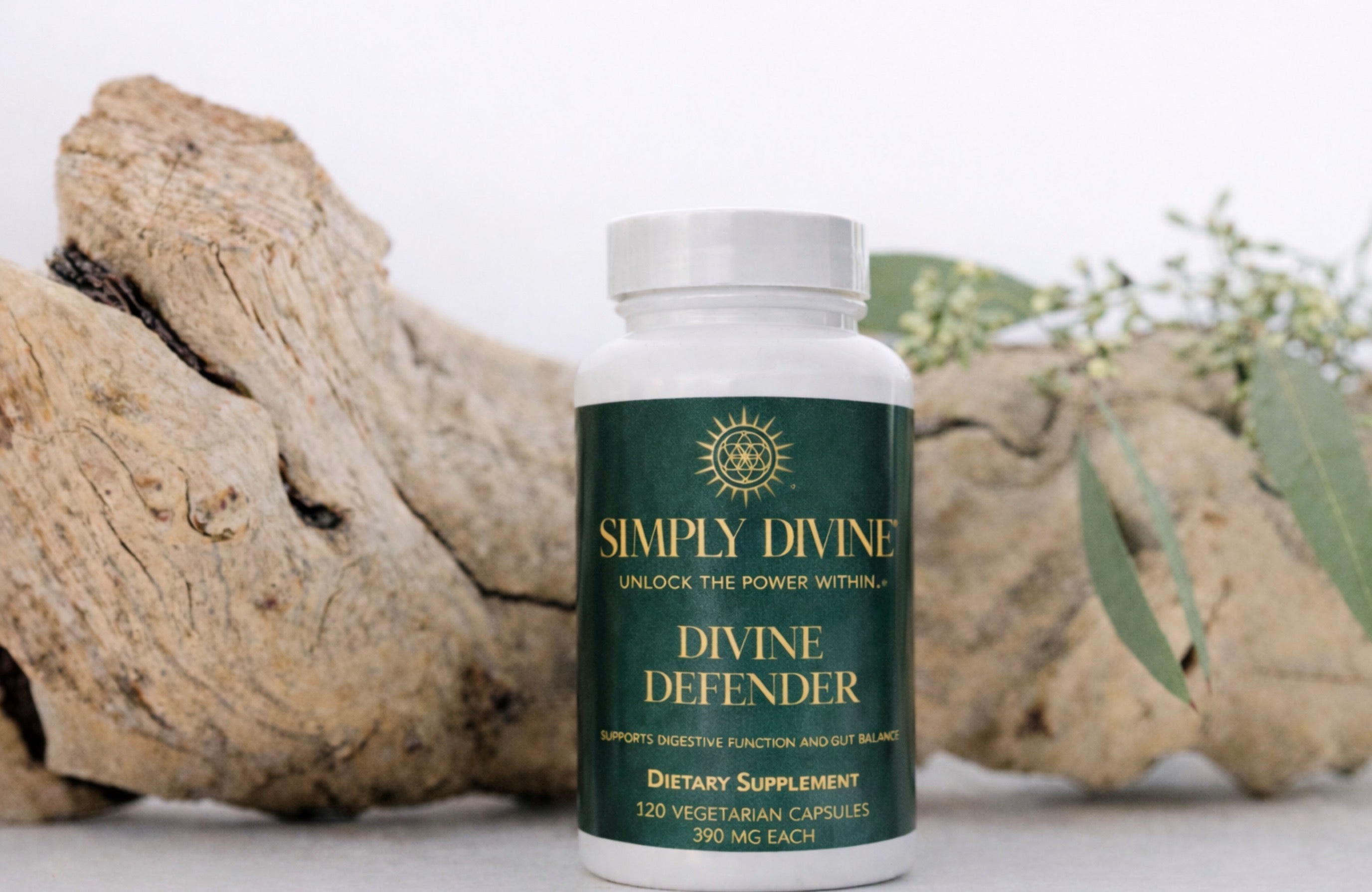 Parasite Cleanse Herbal Supplement - Divine Defender