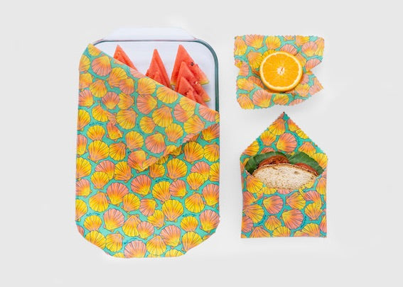 Eco-Friendly Beeswax Wrap Bulk Roll - Shells