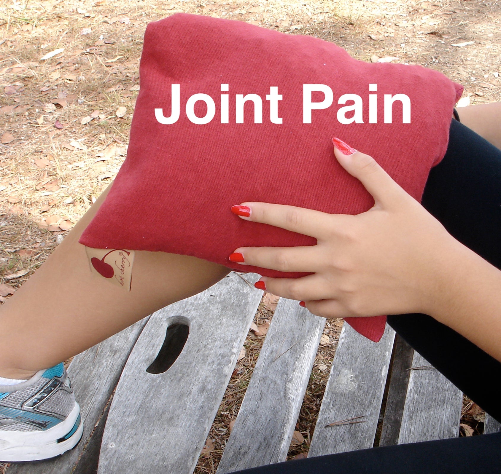 Cherry Pit Double Square Pillow - Red Ultra-Suede