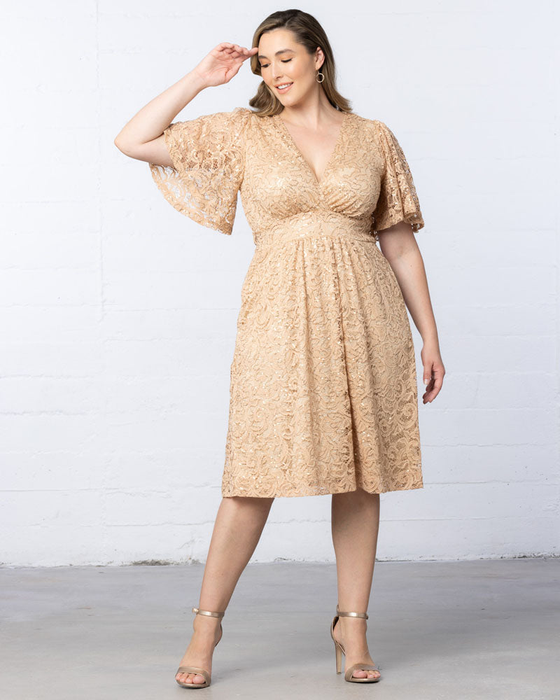 Plus Size Starry Sequined Lace Cocktail Dress