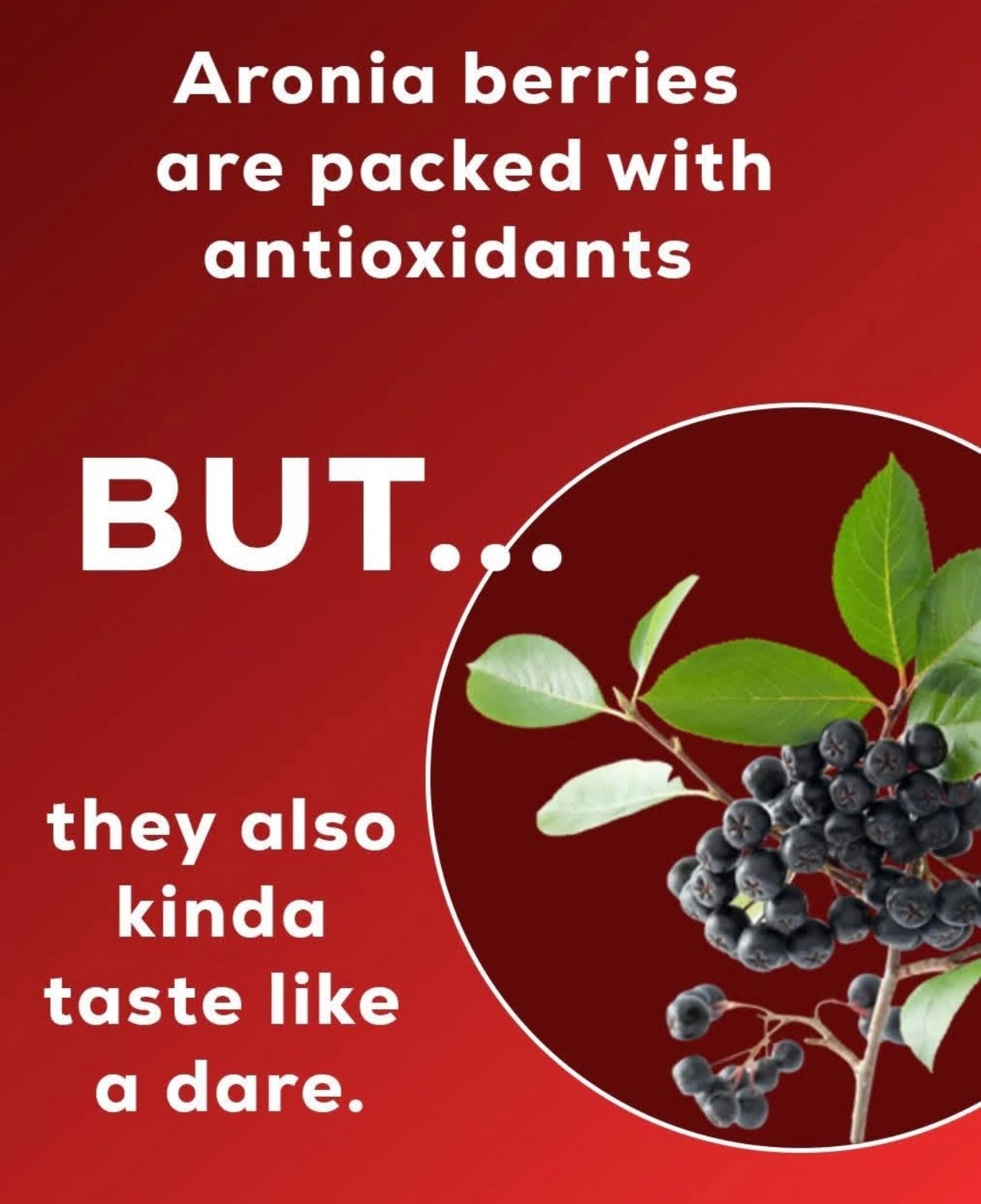 12 Pack AroJuice - Best Tasting Aronia Juice, Best Antioxidant Juice. Best Fruit Juice for Family