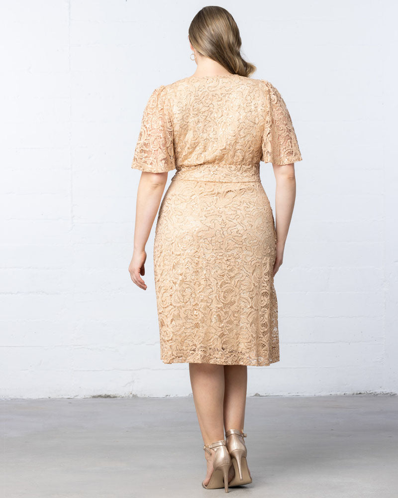 Plus Size Starry Sequined Lace Cocktail Dress