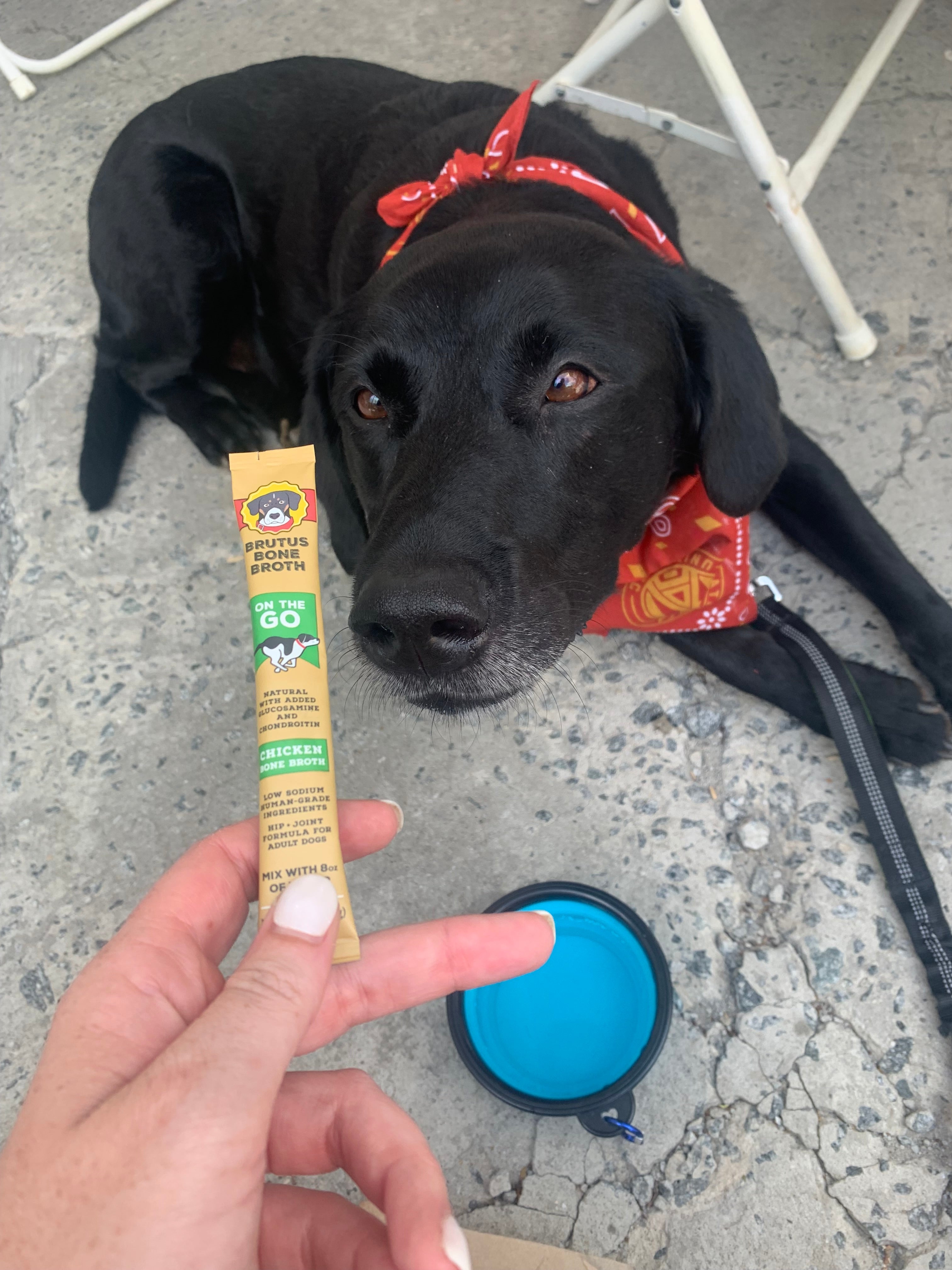 Convenient Brutus On The Go Bone Broth Powder - Chicken