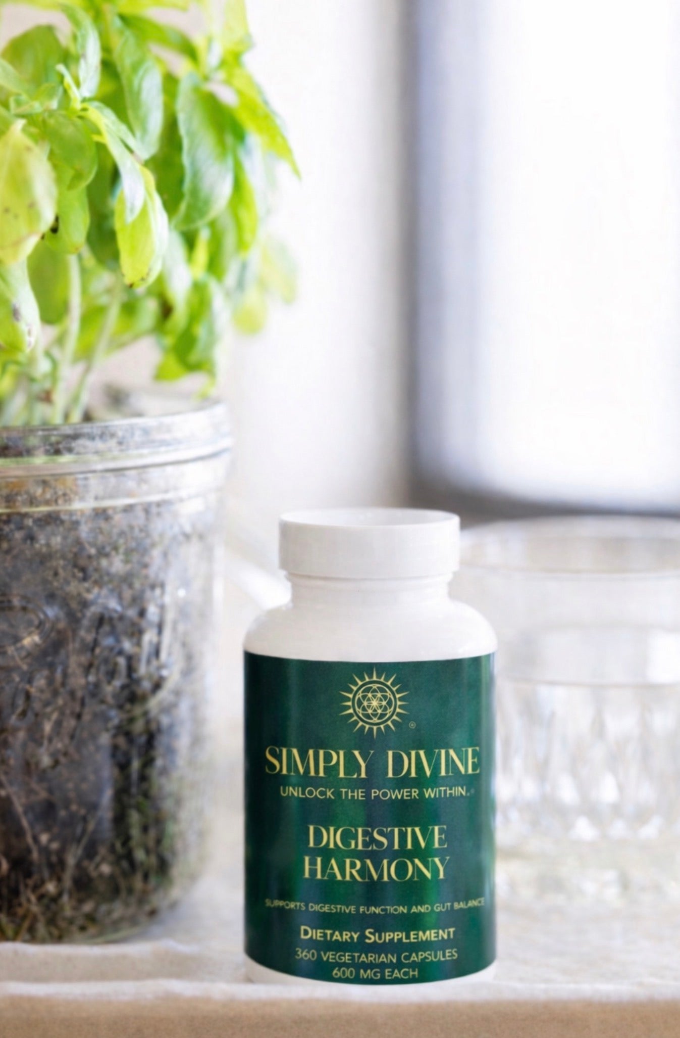 Digestive Support Anti-Bloat Herbal Supplement