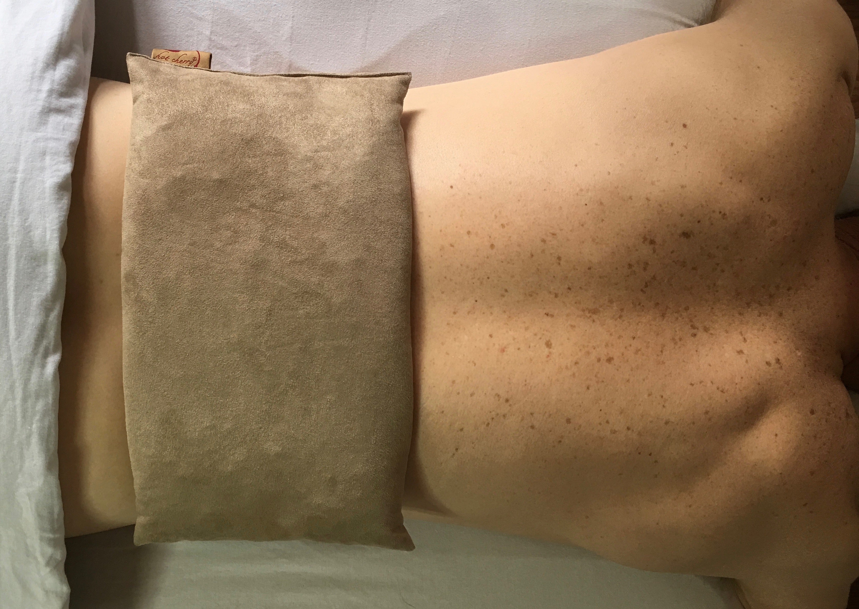 Hot Cherry Stone Large Rectangle Pillow - Tan Ultra-Suede