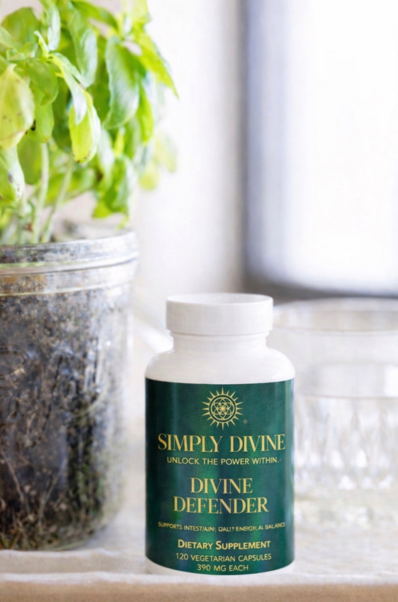 Parasite Cleanse Herbal Supplement - Divine Defender