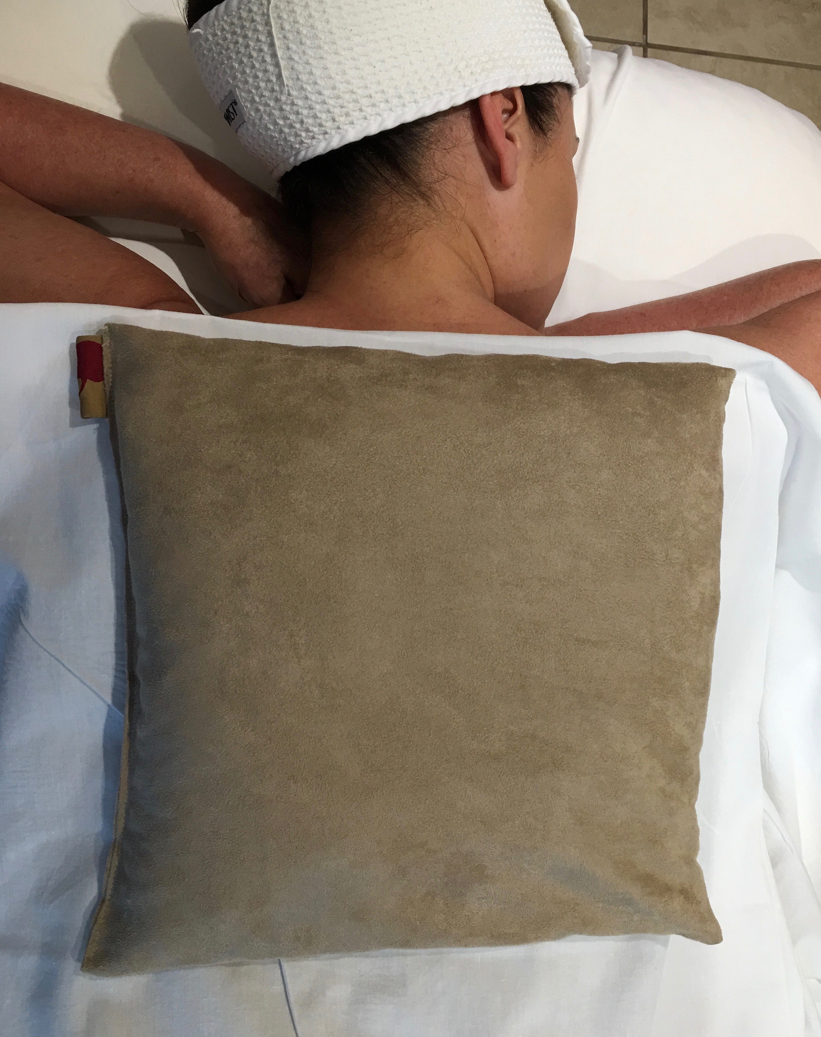 Hot Cherry Large Square Pillow - Tan Ultra-Suede