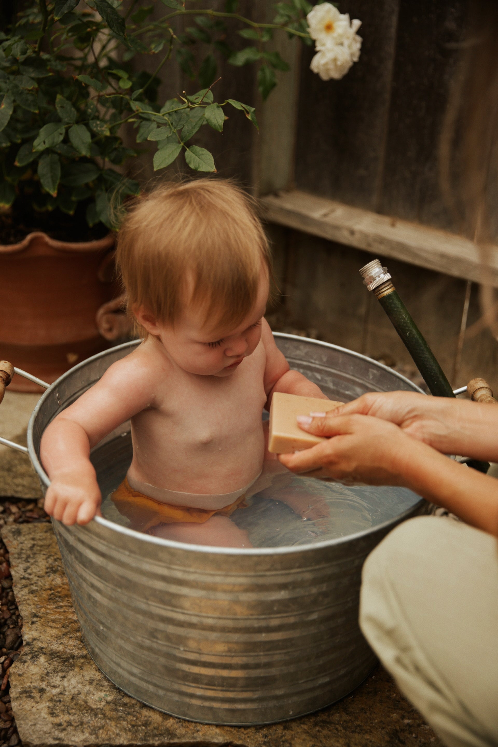 Bambino Tallow Soap - 6oz