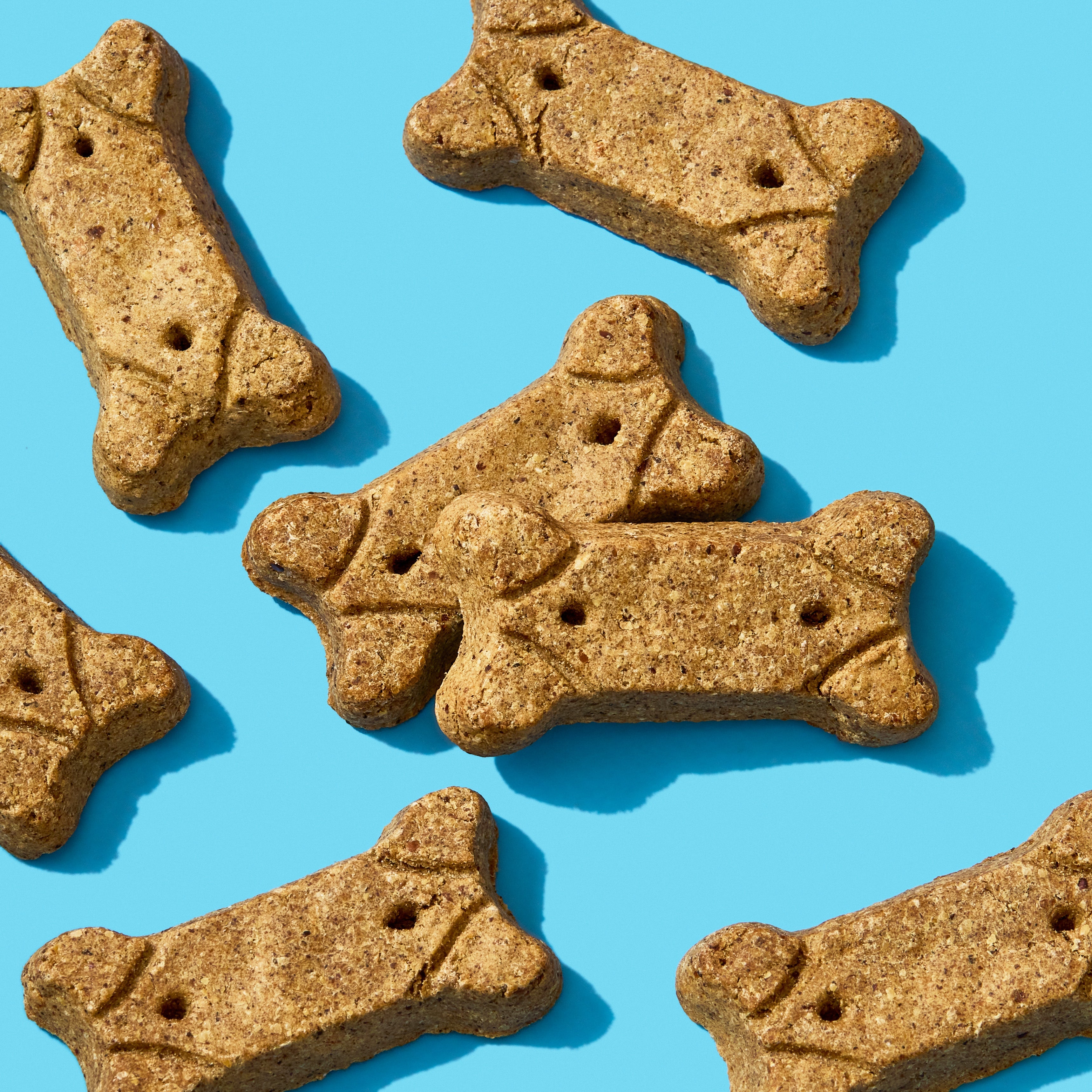 Natural High Protein Beef Broth Dog Biscuits