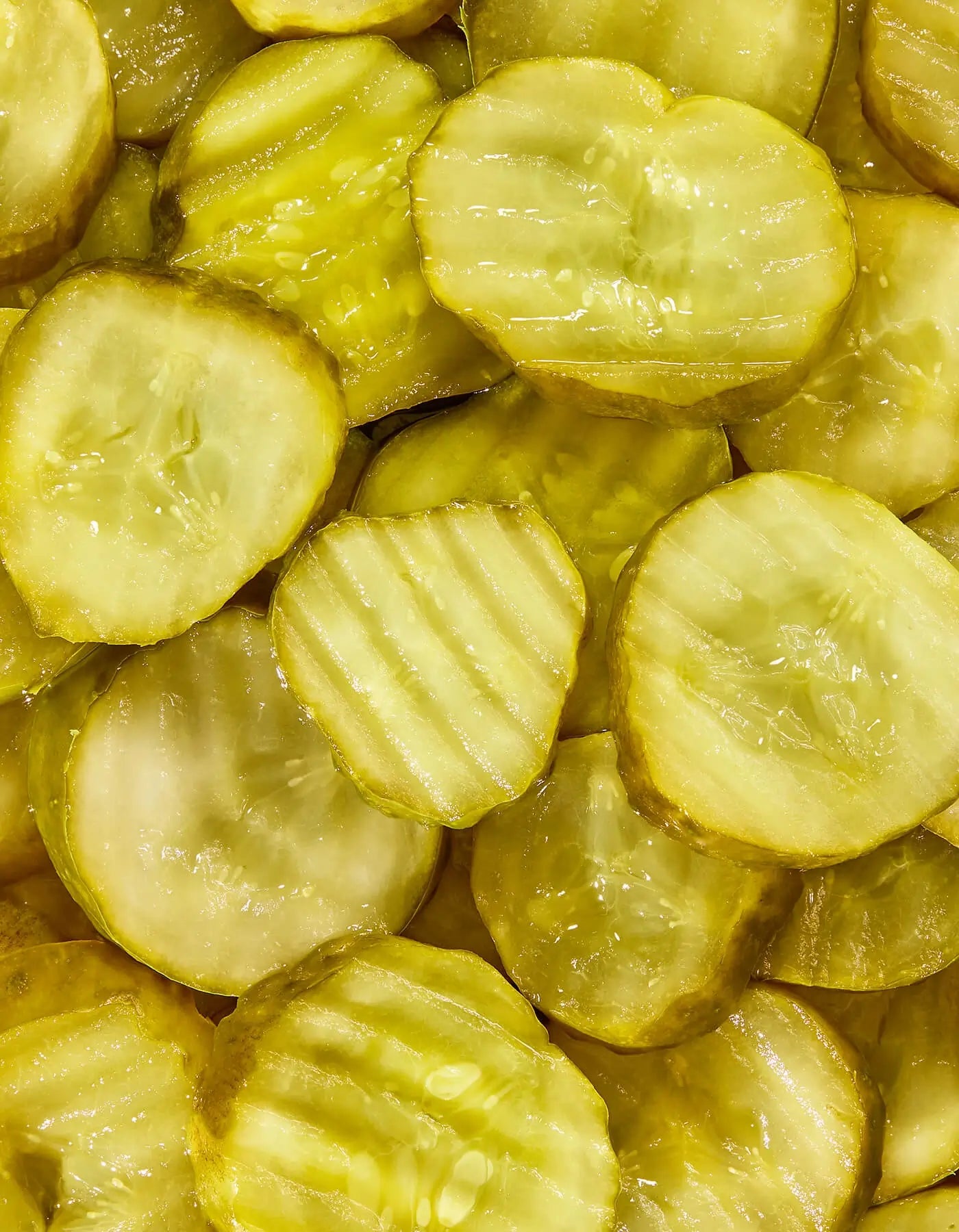 Crispy Classic Dill Pickle Chips - Deli Style (6) Pouches