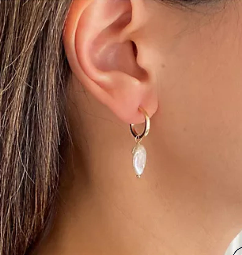 10K Gold Mother of Pearl Disc Hoop Earrings
