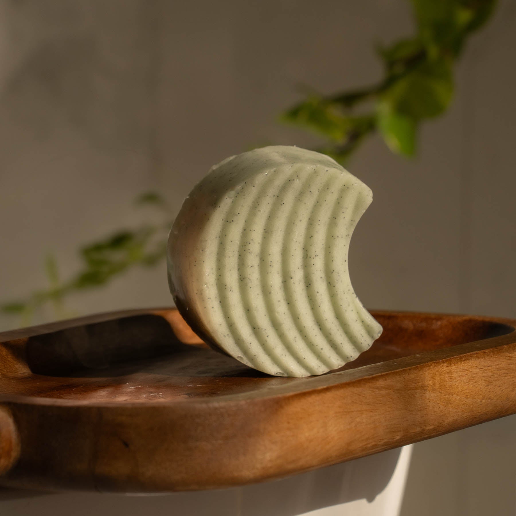 Detox Clarifying Exfoliating Body Scrub Bar