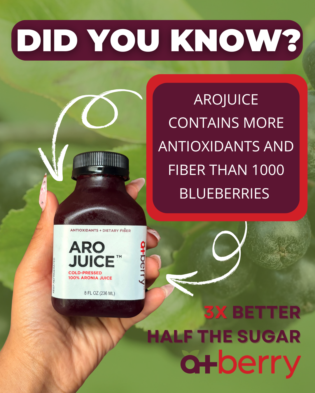 12 Pack AroJuice - Best Tasting Aronia Juice, Best Antioxidant Juice. Best Fruit Juice for Family