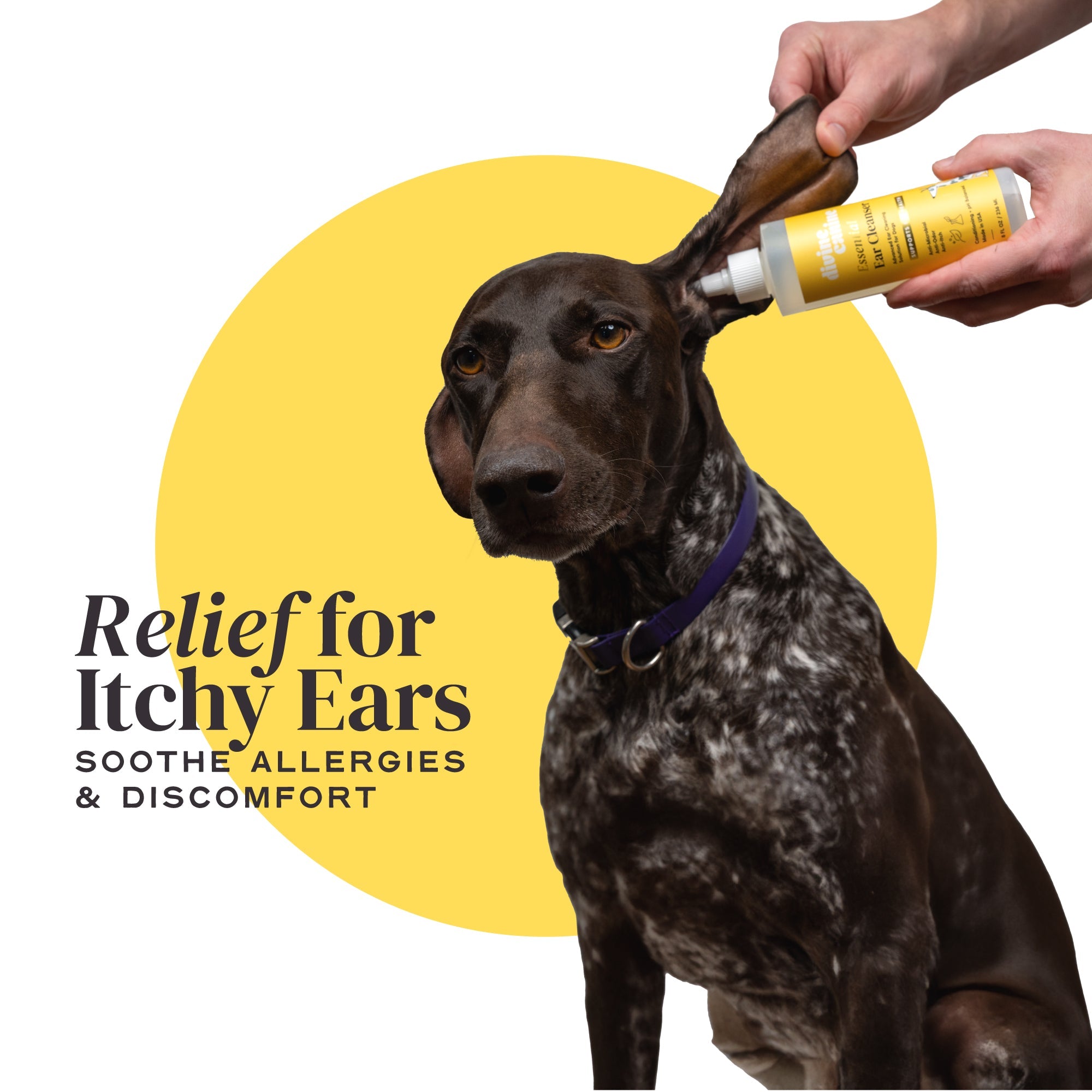 Essential Ear Cleanser
