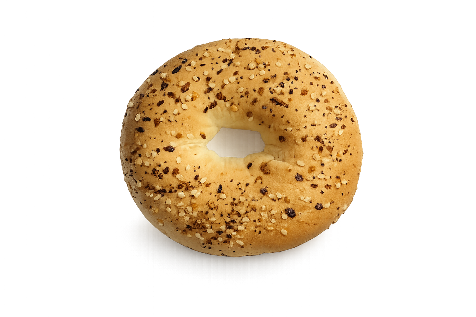 High Protein Bagel - Everything