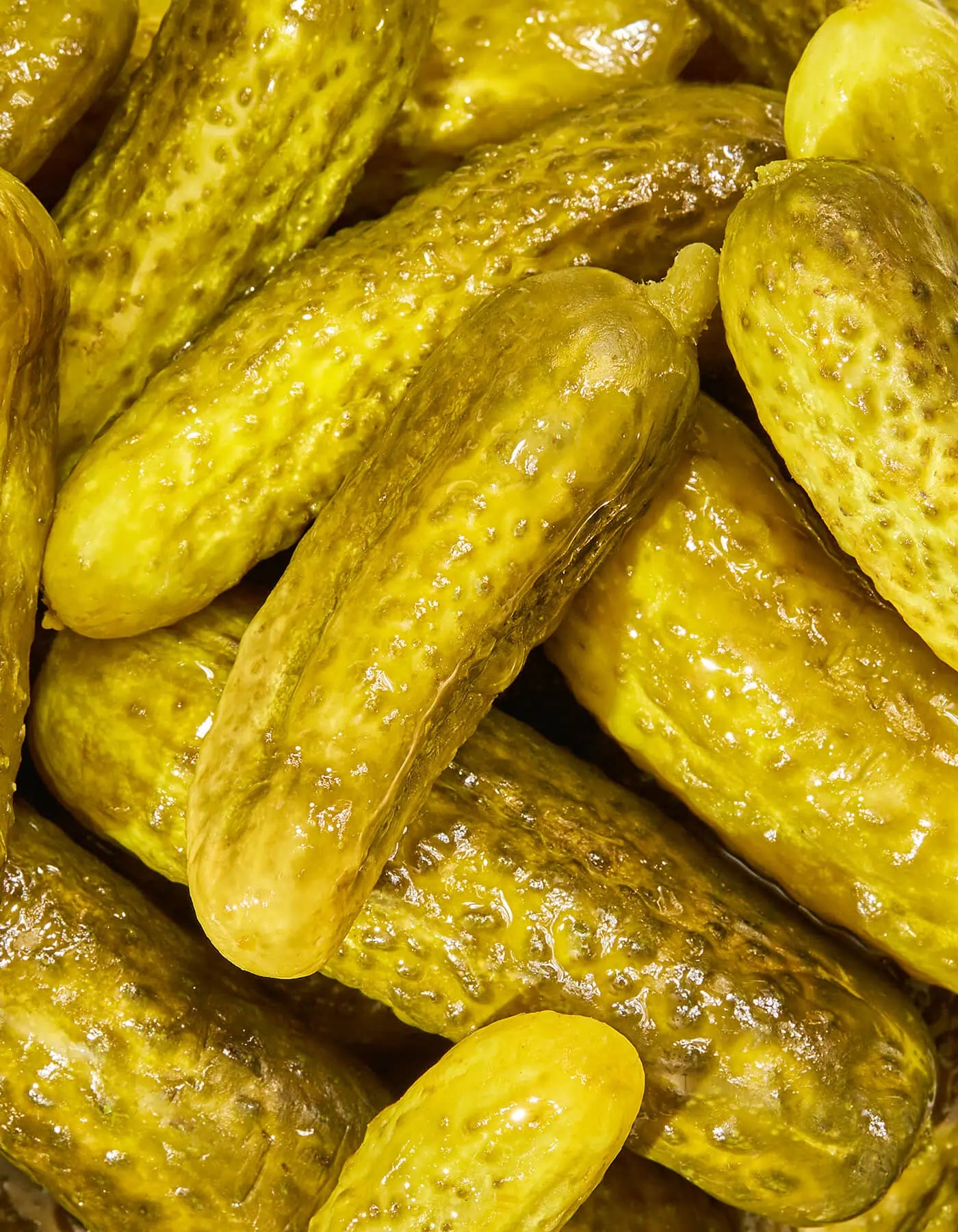 Bold Garlic Dill Mini Pickles - Briny & Tangy (6) Pouches