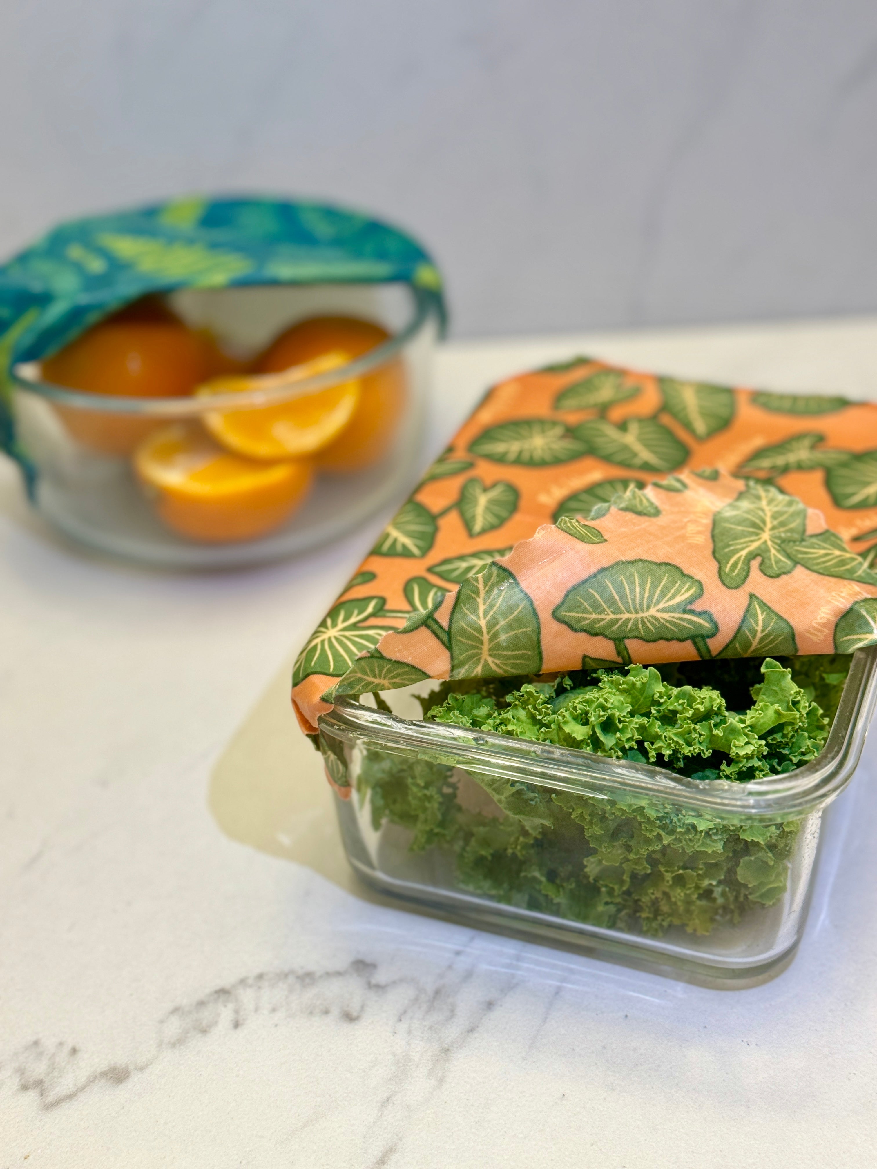 Eco-Friendly Beeswax Food Wrap - Kalo Print
