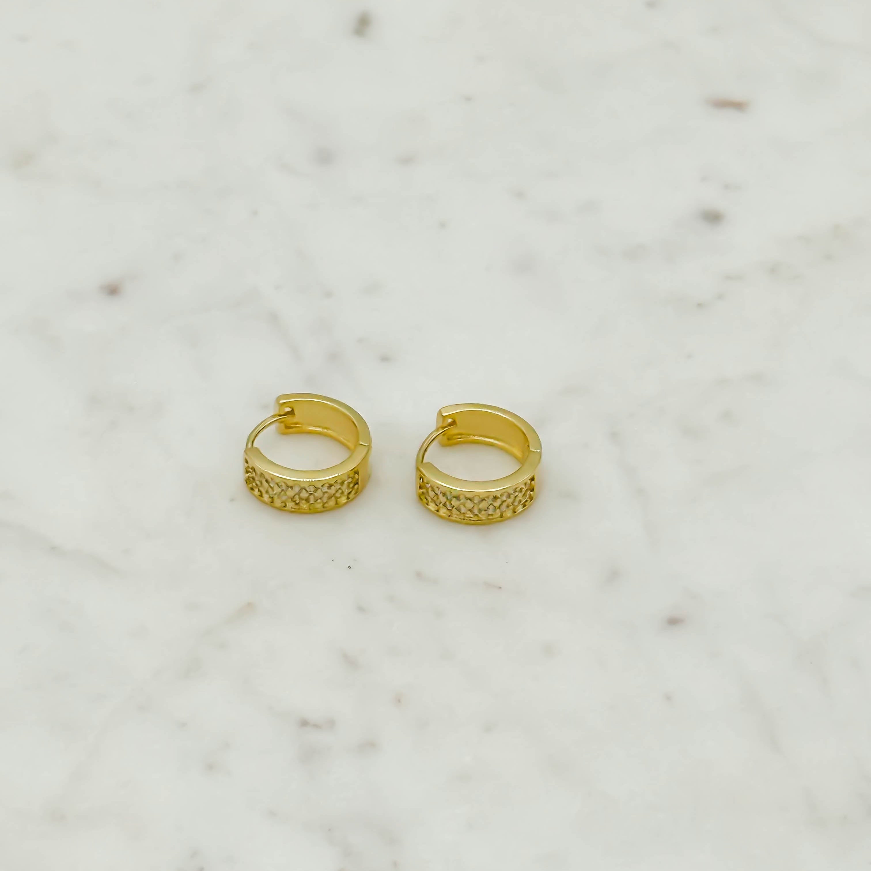 18K Gold-Filled Sophia Hoop Earrings