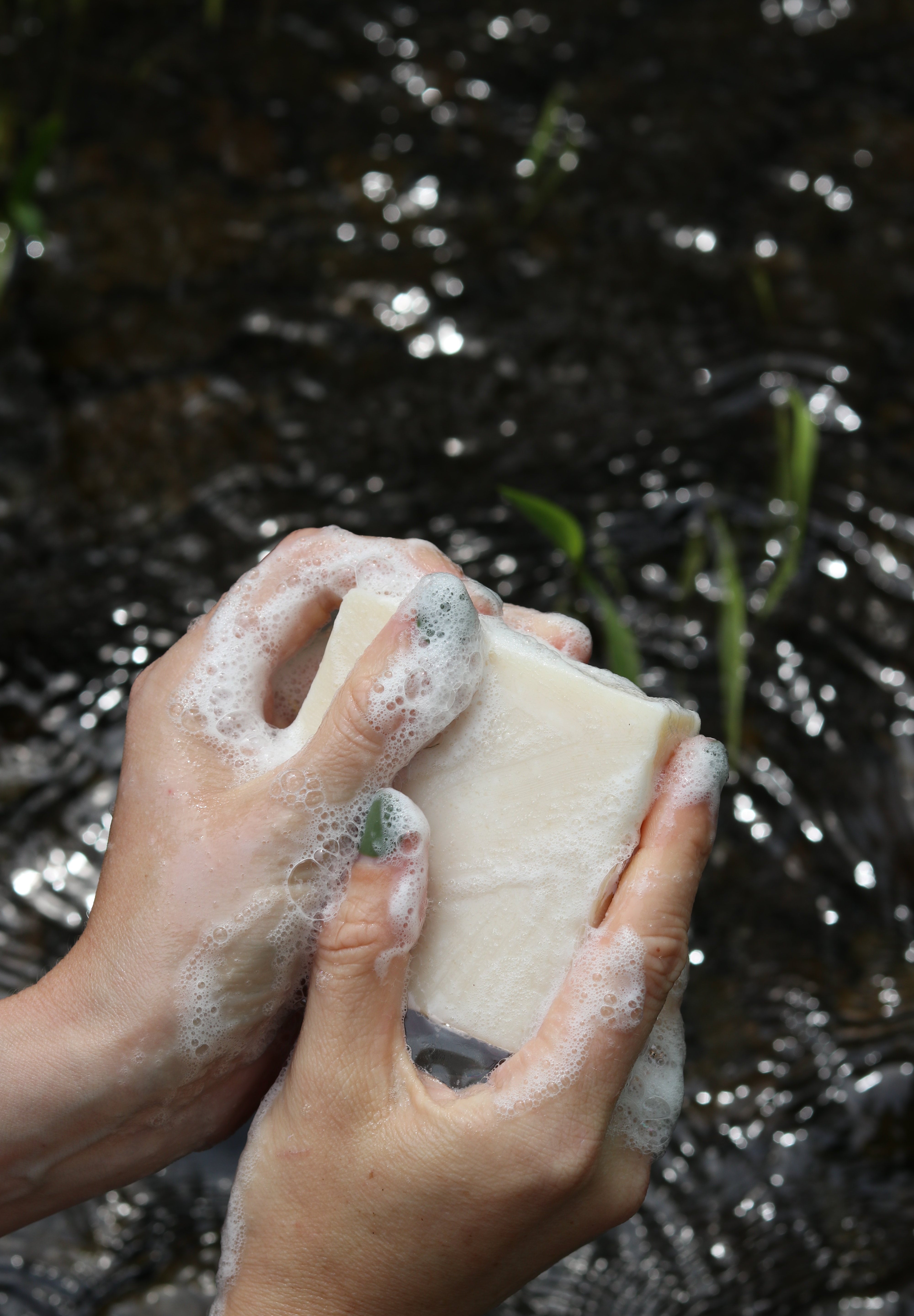 Lavender Tallow Soap