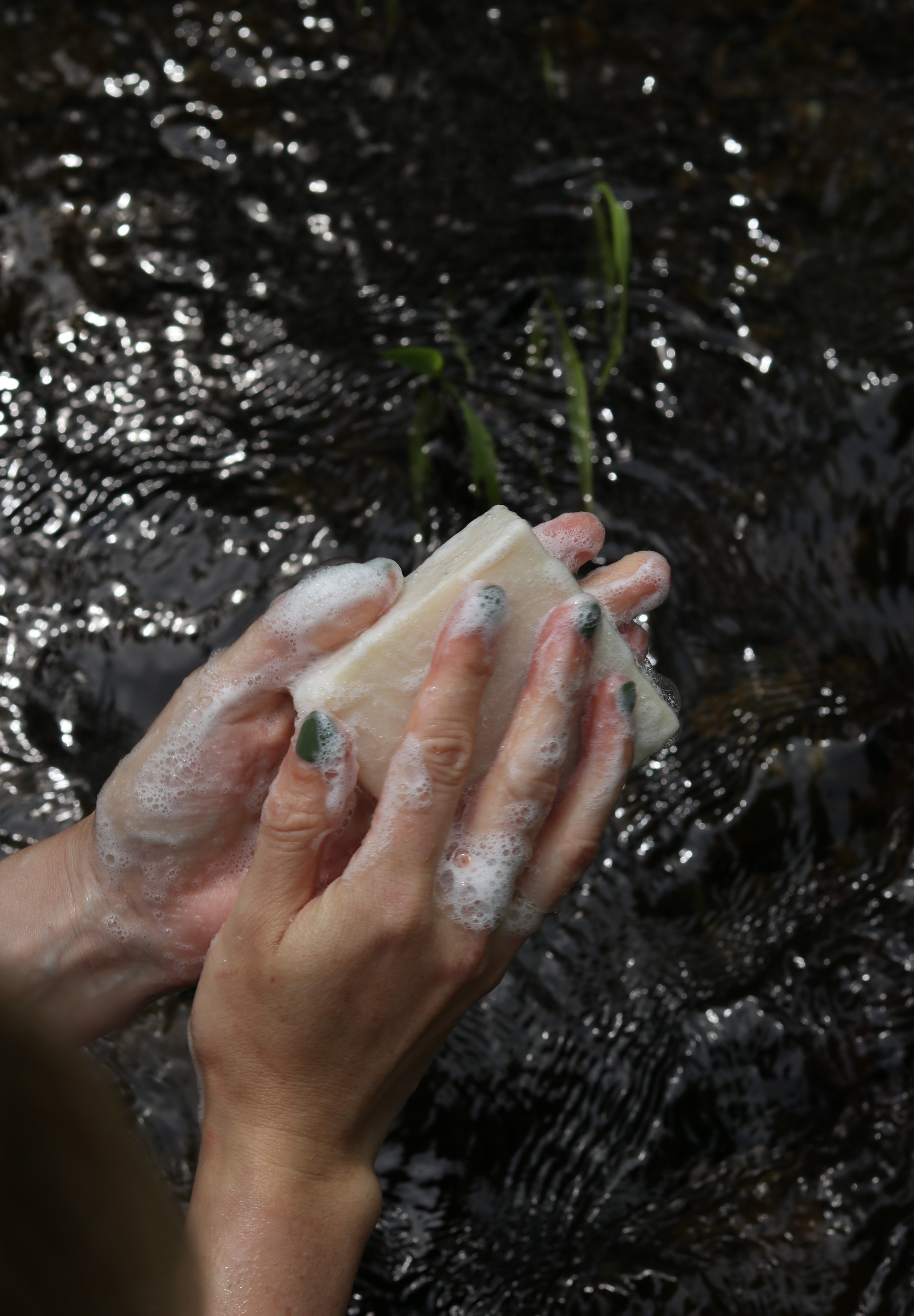 Lavender Tallow Soap