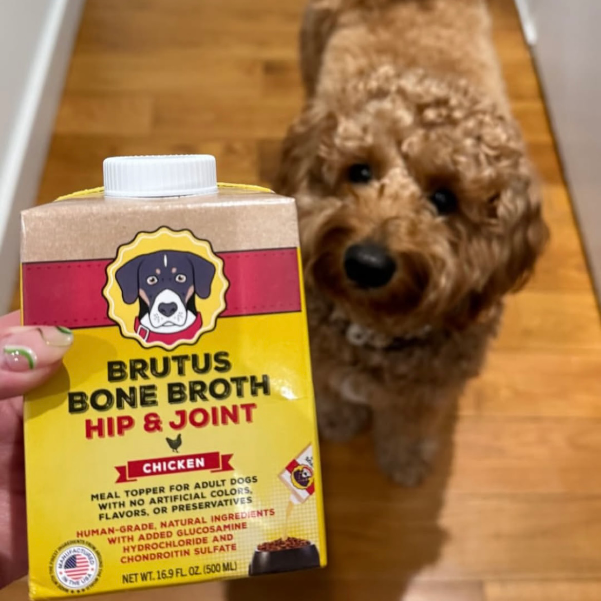 Natural Mini Hip & Joint Formula - Chicken Bone Broth