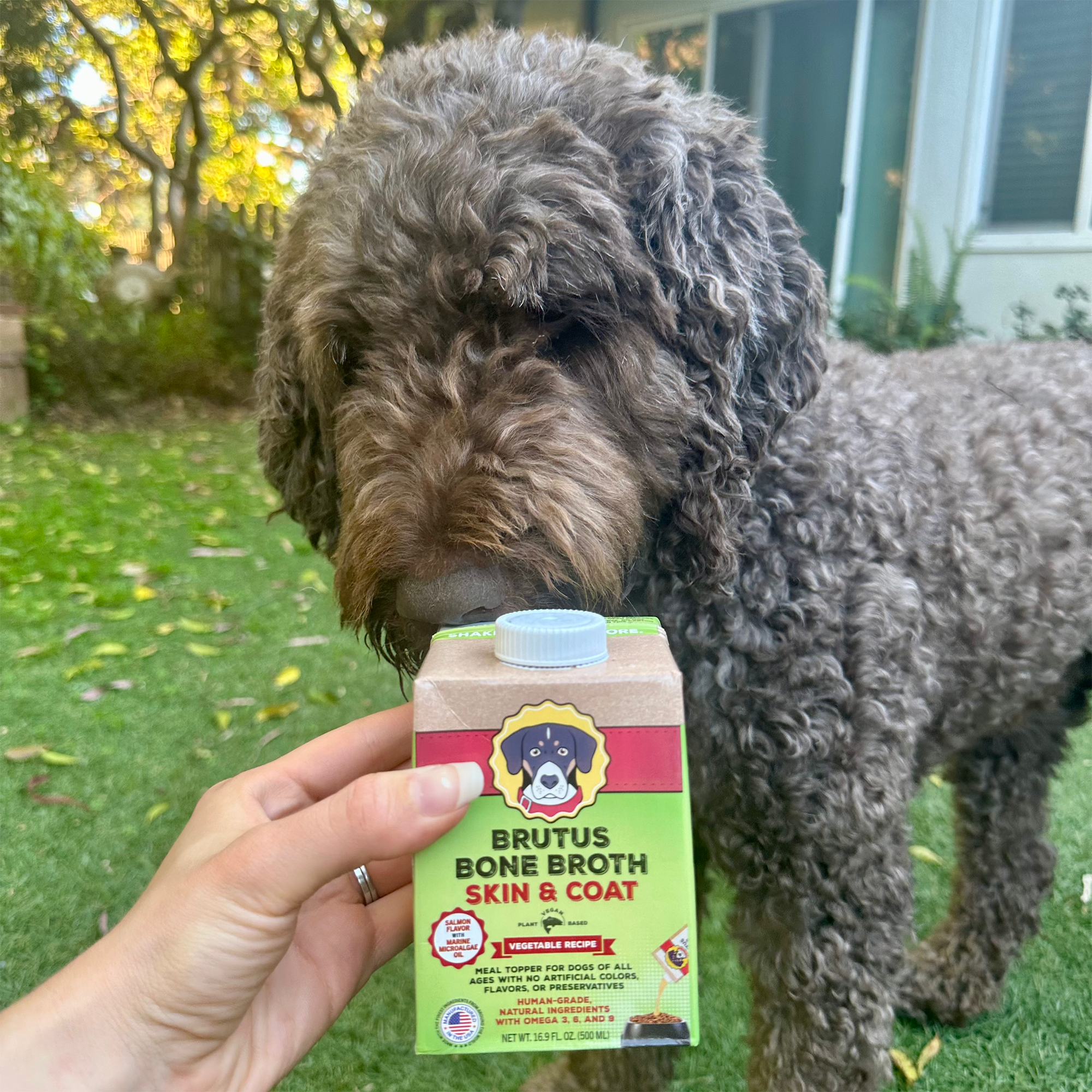 Natural Mini Hip & Joint Formula - Vegetable Broth