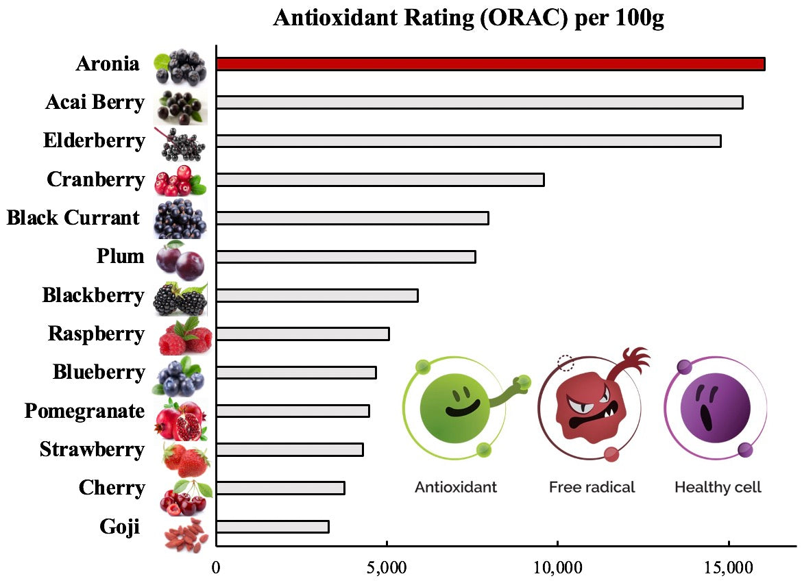 12 Pack AroJuice - Best Tasting Aronia Juice, Best Antioxidant Juice. Best Fruit Juice for Family