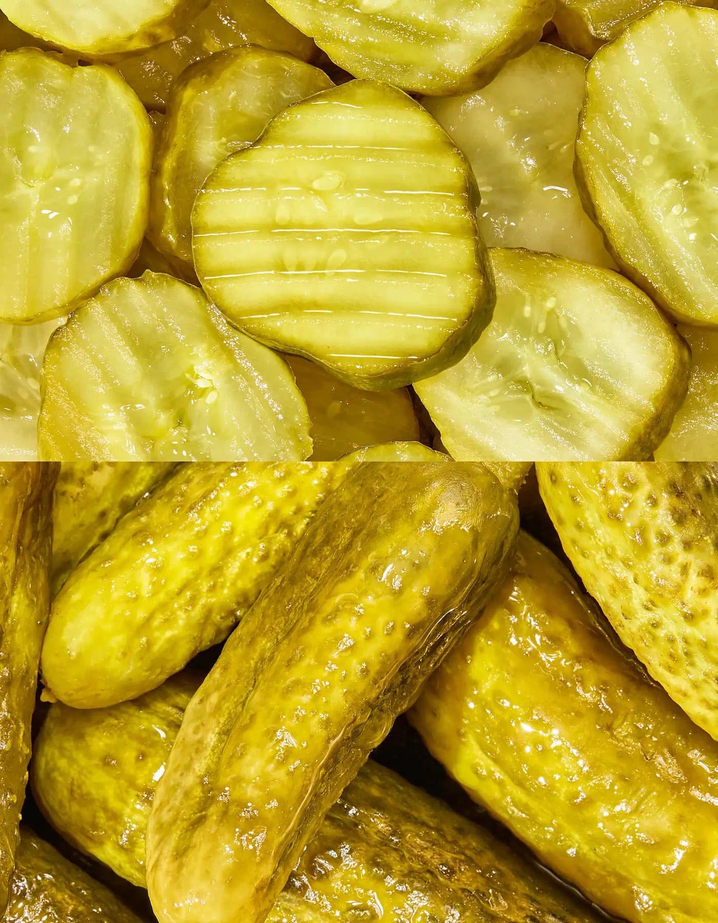 Dill Pickle Variety - 6 Ct Starter Pack (3 Flavors)