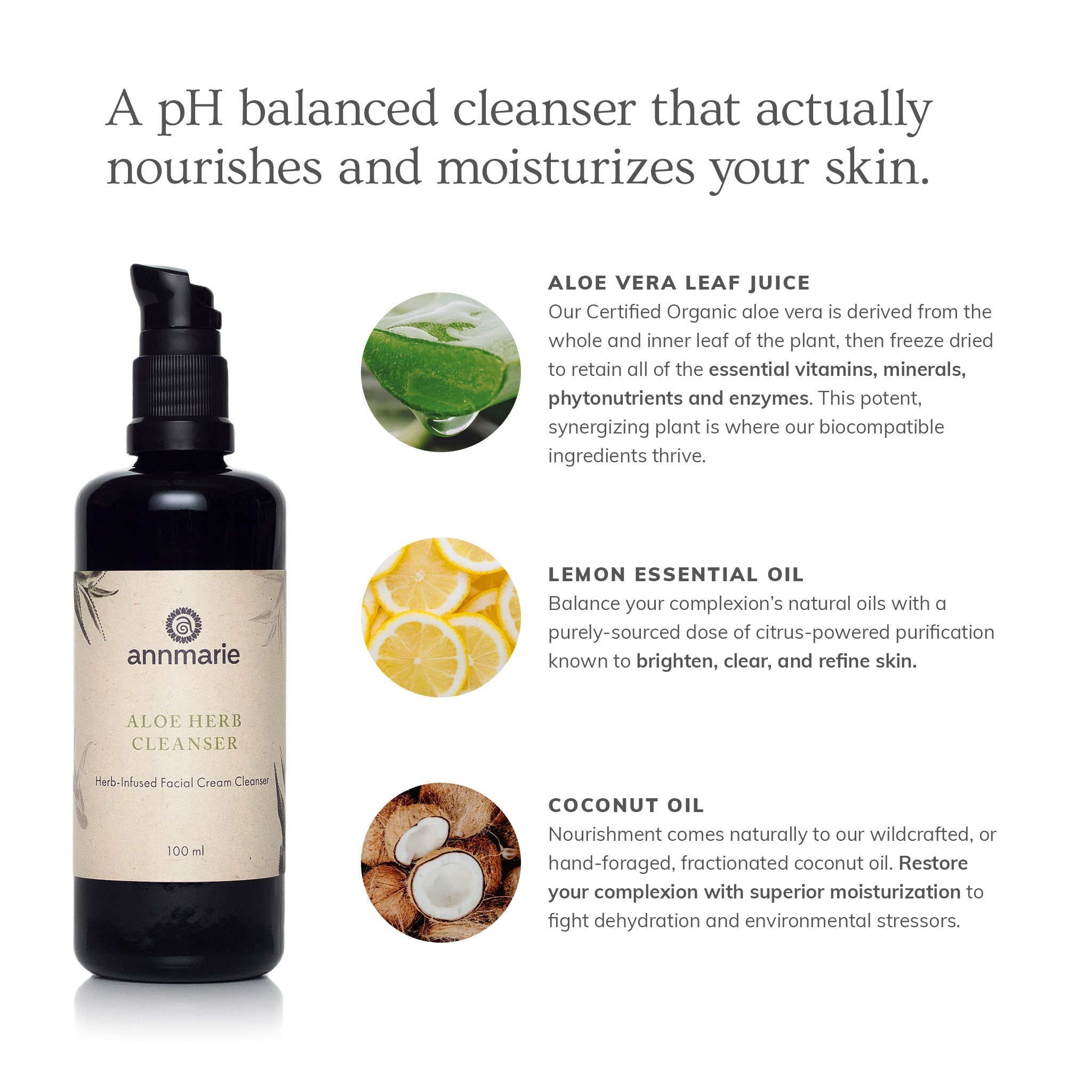 Aloe Vera Herb Cream Face Cleanser - 3.4 Oz
