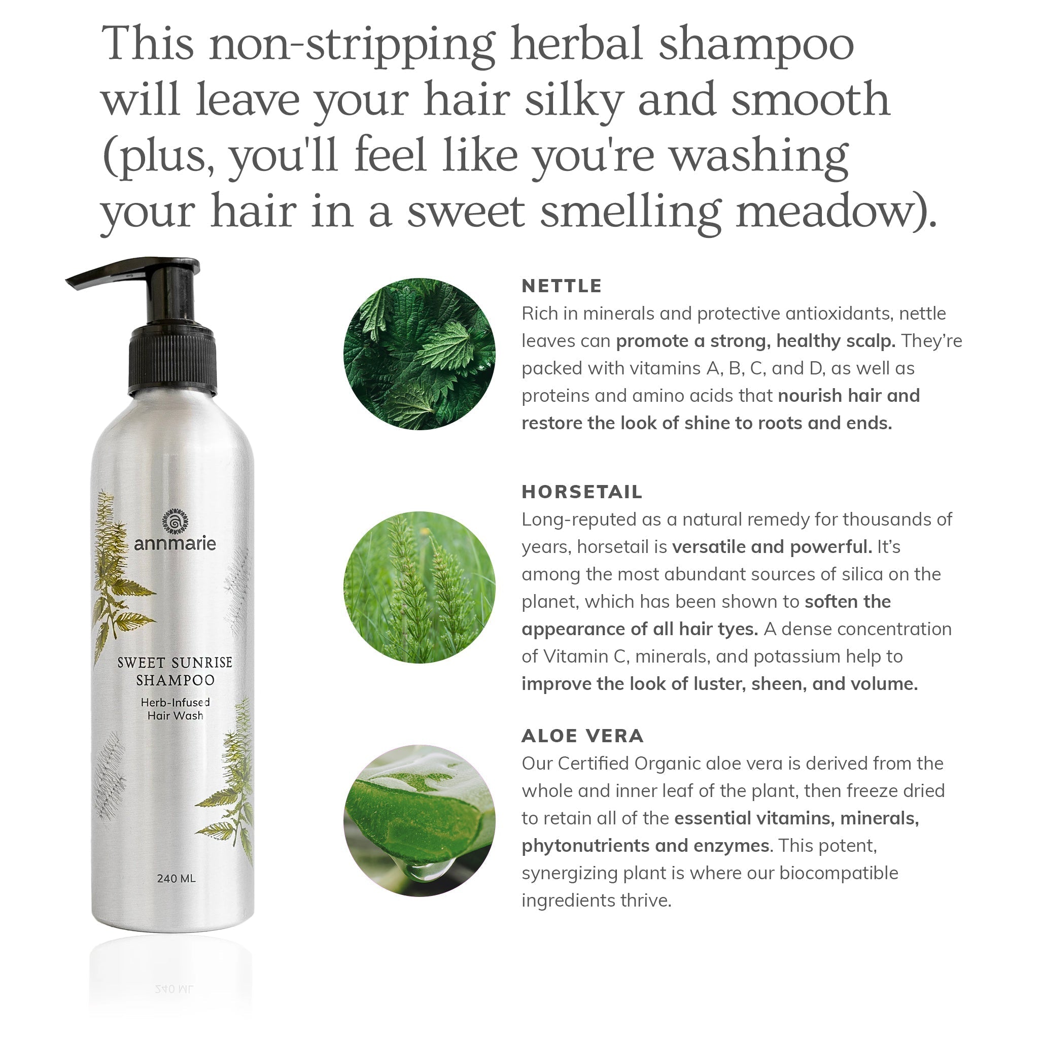Herb-Infused Sweet Sunrise Hydrating Shampoo - 8 Oz