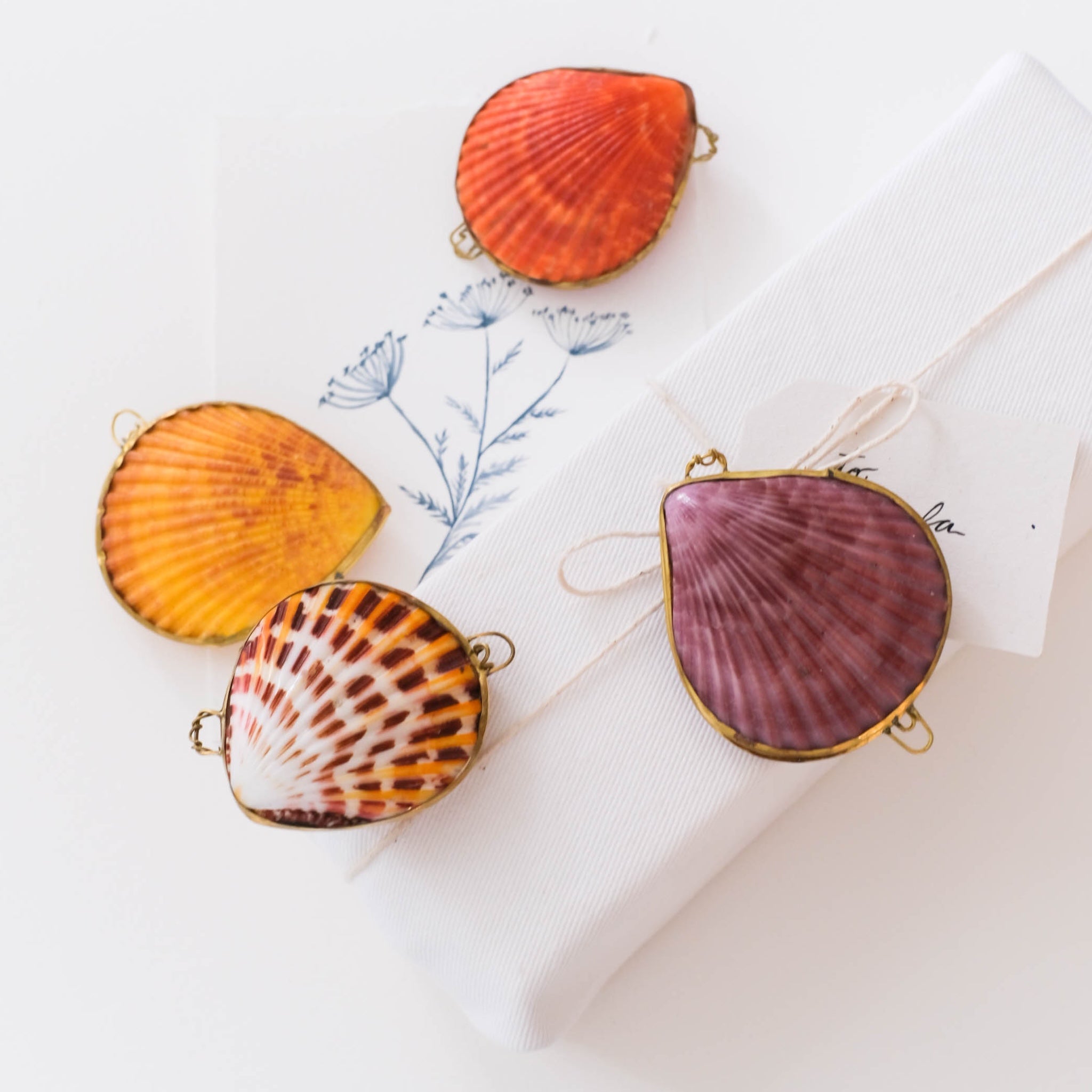 Geranium & Vetiver Perfume In Seashell Compact
