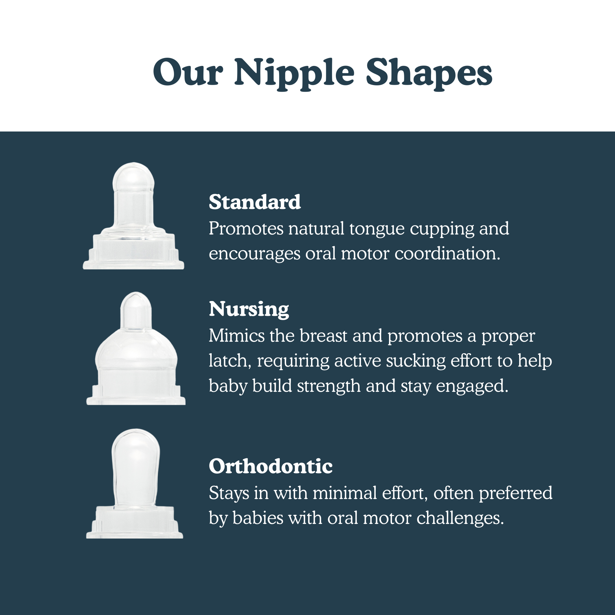 Plastic-Free Multiple Shape Pacifier Kit - Nipples & Shield
