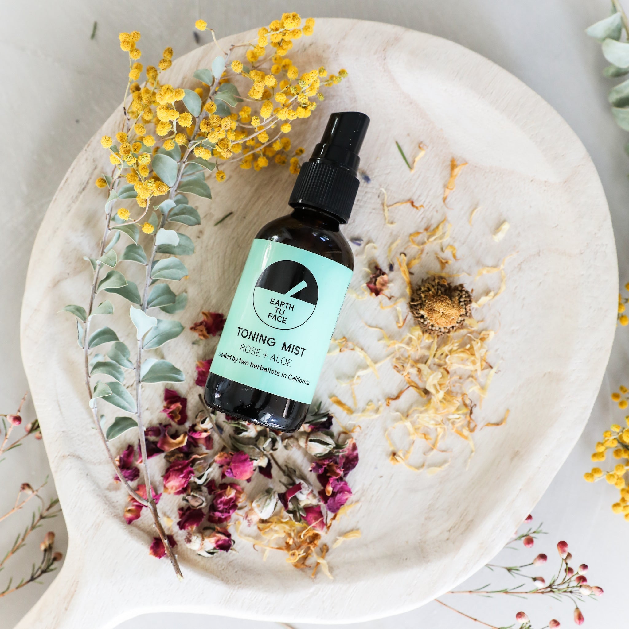Revitalizing Rose + Aloe Toning Mist 2 Oz