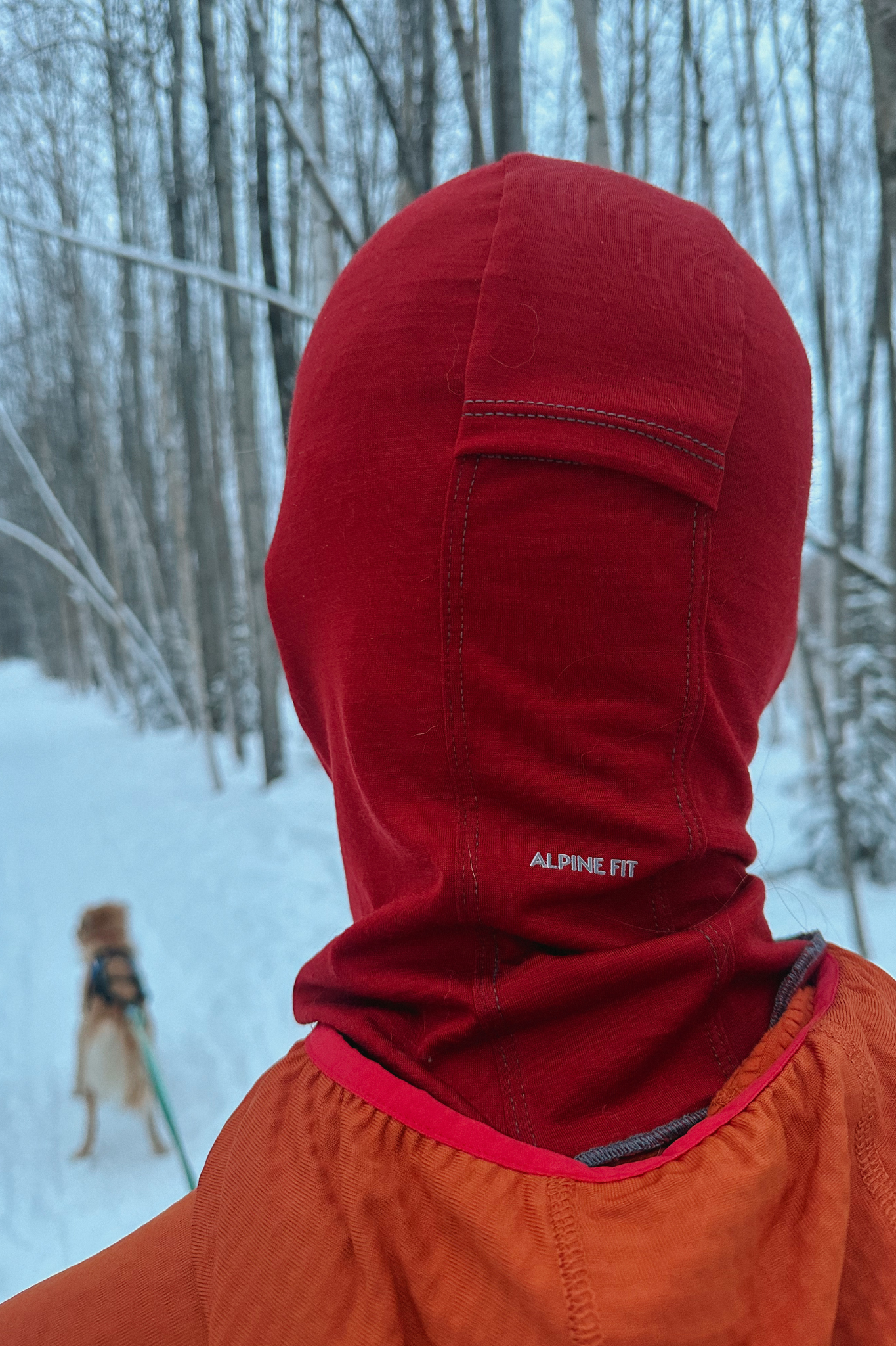 Merino Wool Performance Balaclava