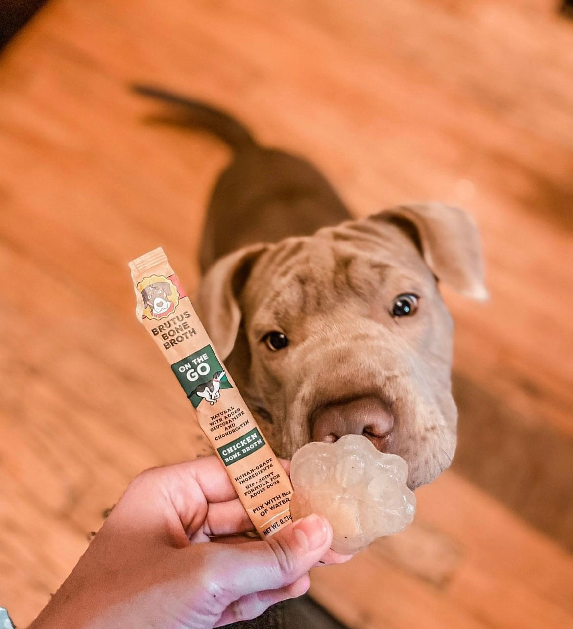 Convenient Brutus On The Go Bone Broth Powder - Chicken