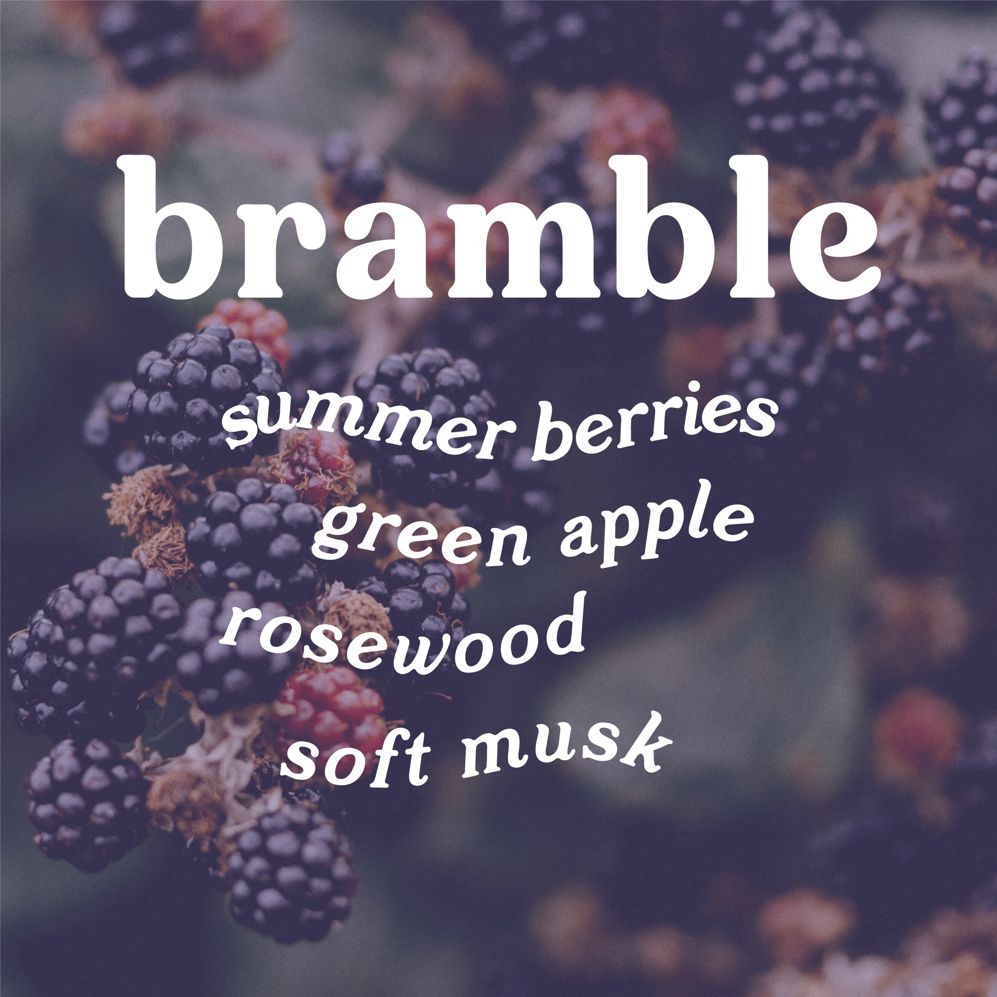 Bramble 9 oz. Hue Soy Candle - Blackberry & Rosewood