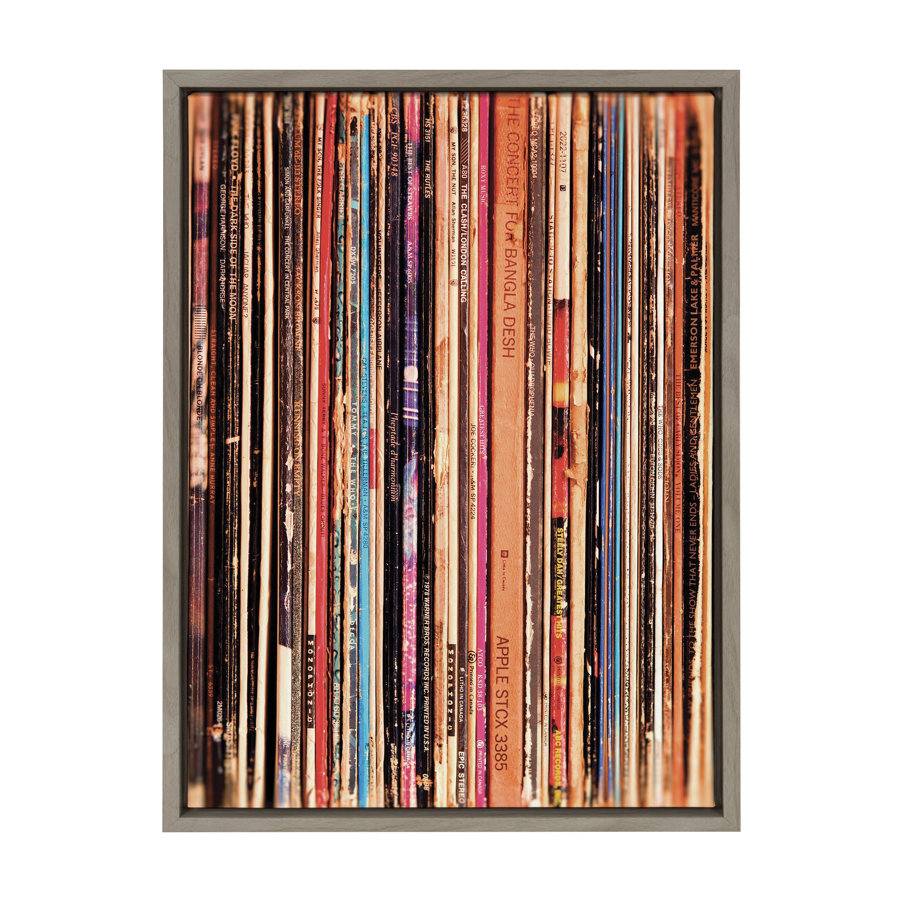 Sylvie Records Framed Canvas by Robert Cadloff of Bomobob