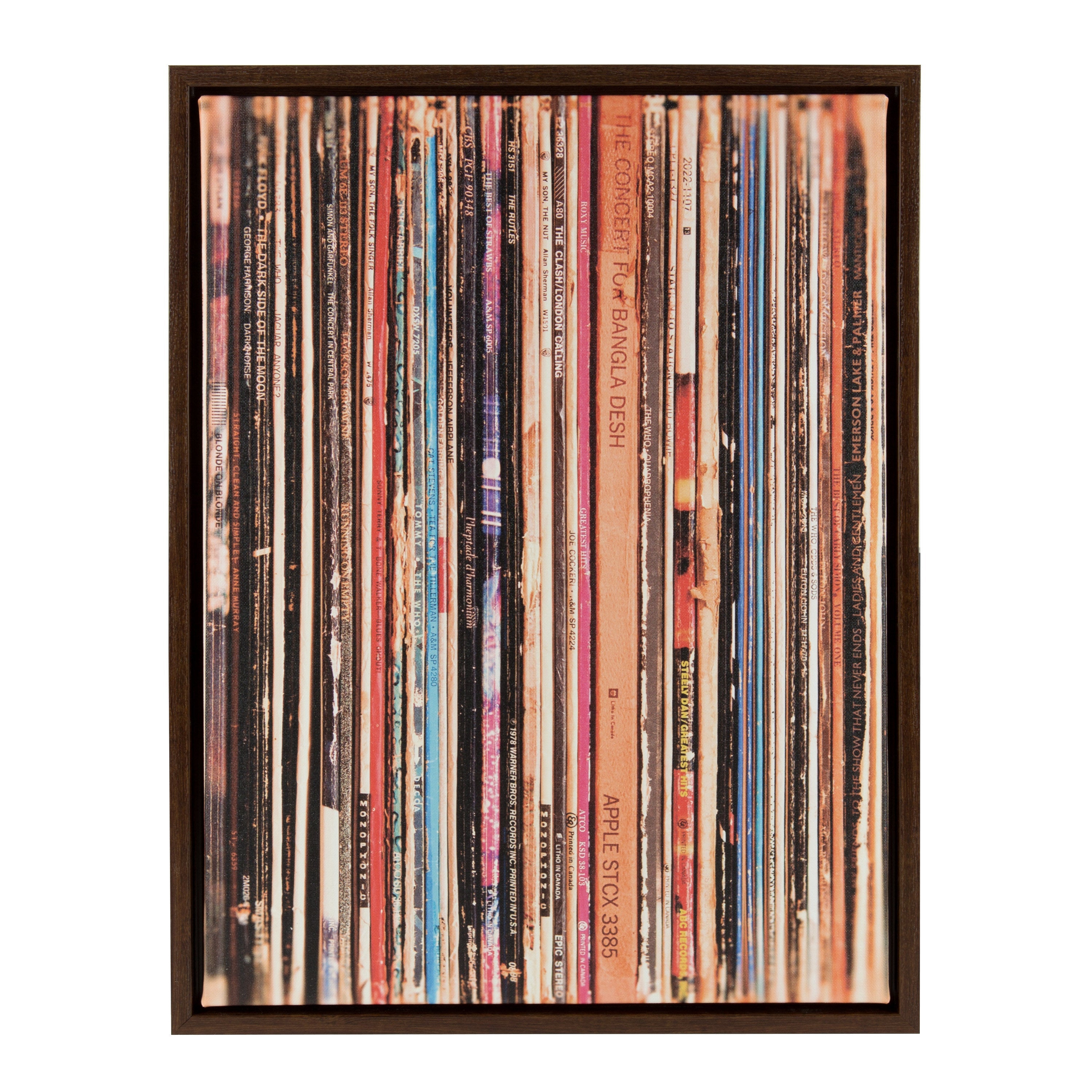 Sylvie Records Framed Canvas by Robert Cadloff of Bomobob