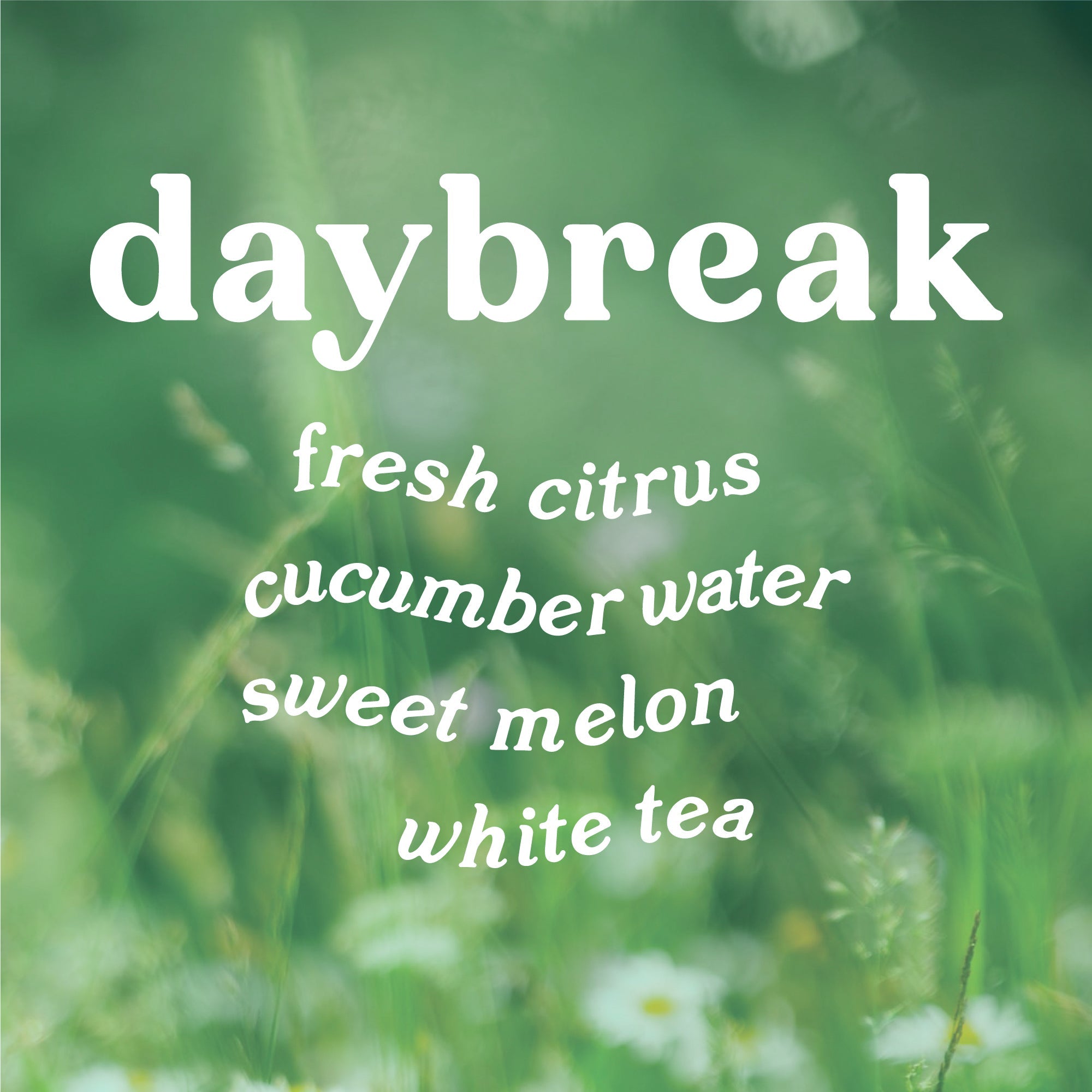 Daybreak 9 oz. Hue Soy Candle - Lemon & Cucumber