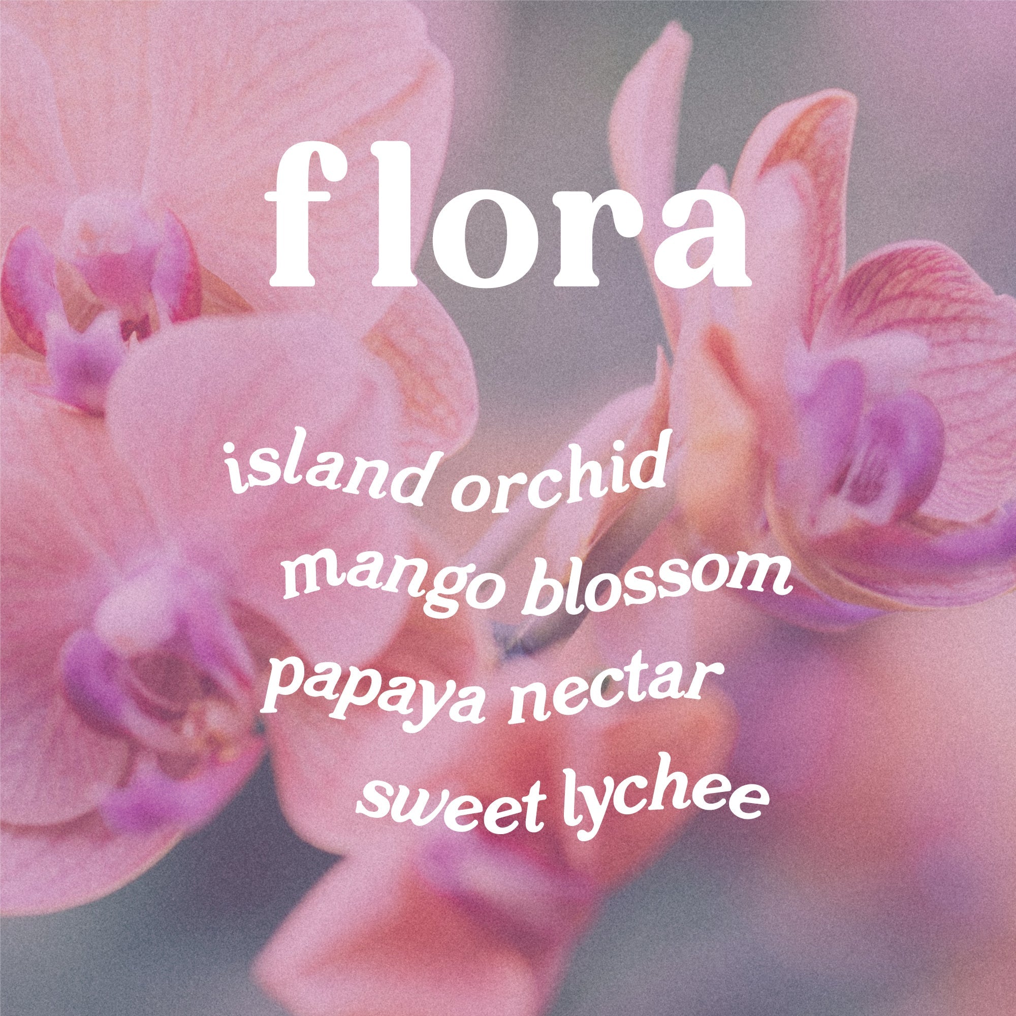 Flora 9 oz. Hue Soy Candle - Wild Orchid