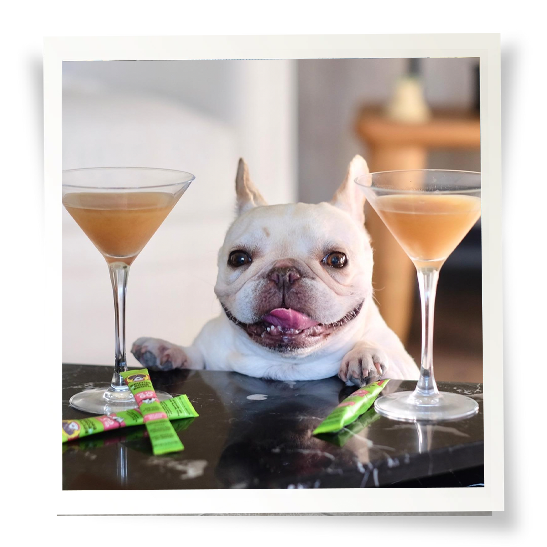 Convenient Brutus On The Go Vegetable Broth - Salmon Flavor