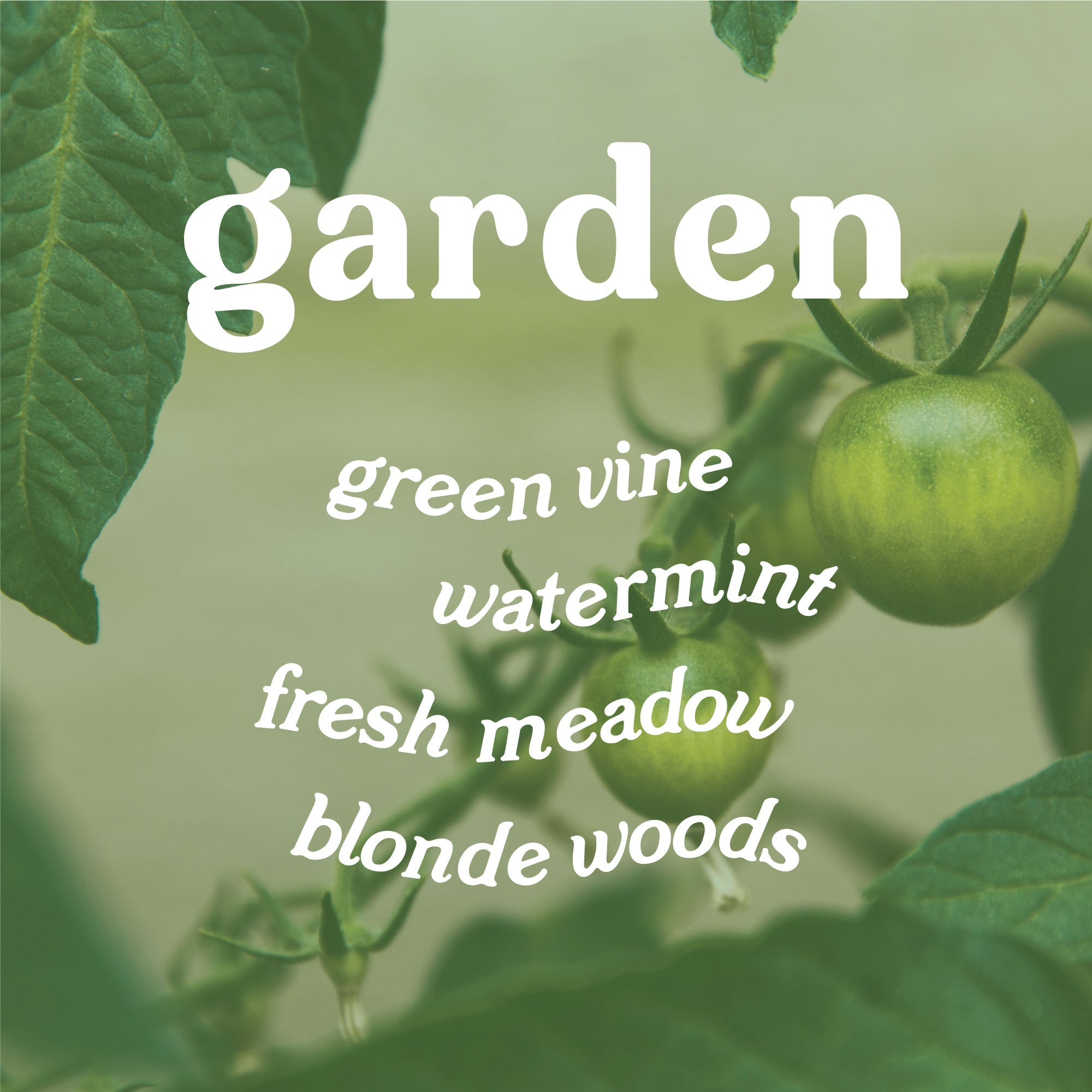 Garden 9 oz. Hue Soy Candle - Tomato Vine