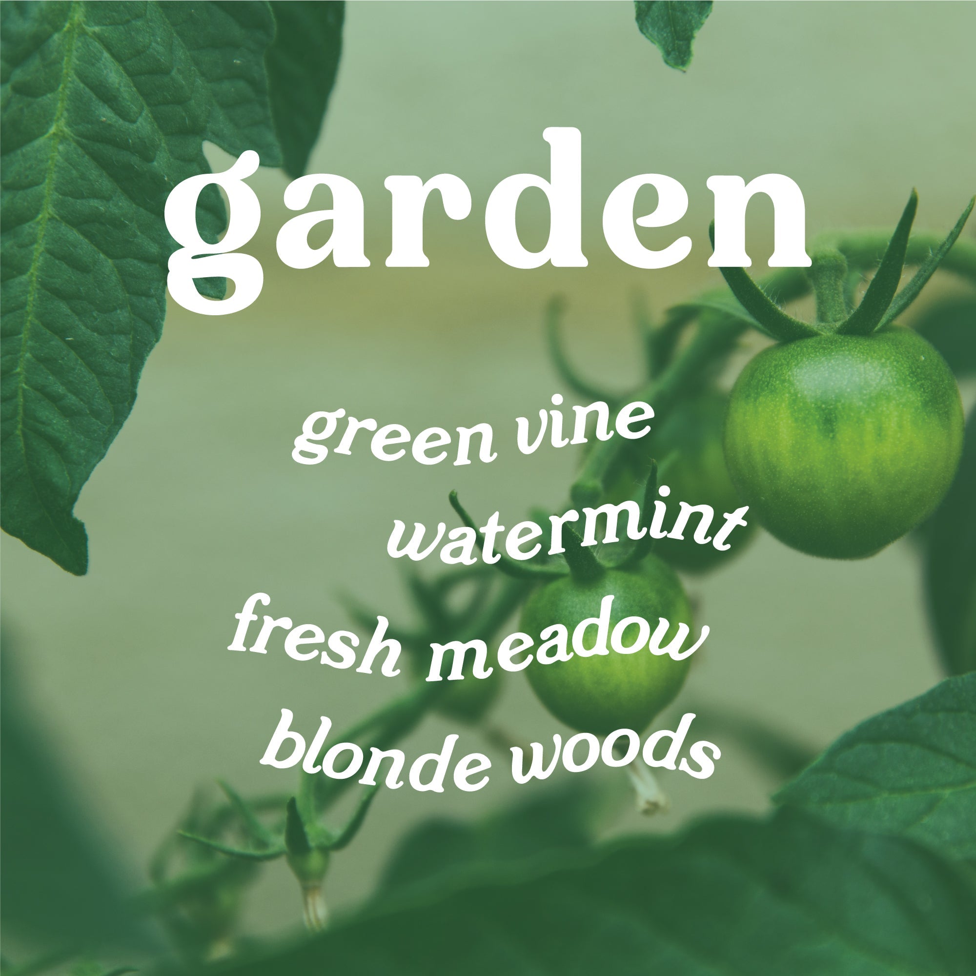 Garden 4 oz. Hue Reed Diffuser - Tomato Vine