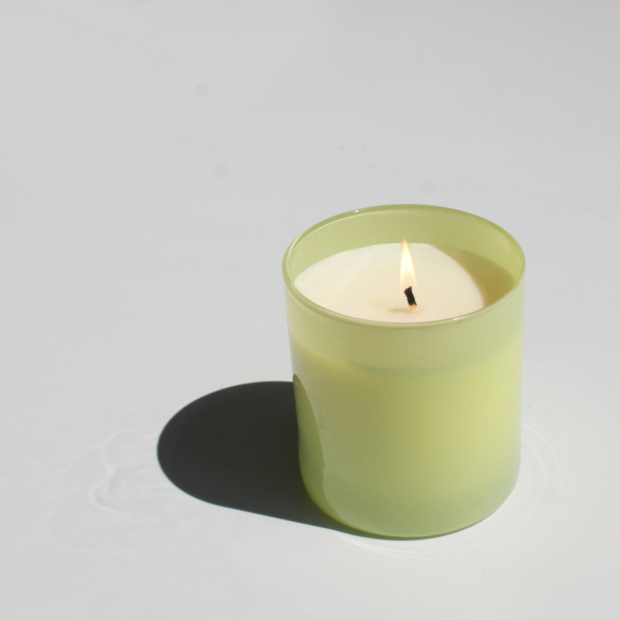 Garden 9 oz. Hue Soy Candle - Tomato Vine
