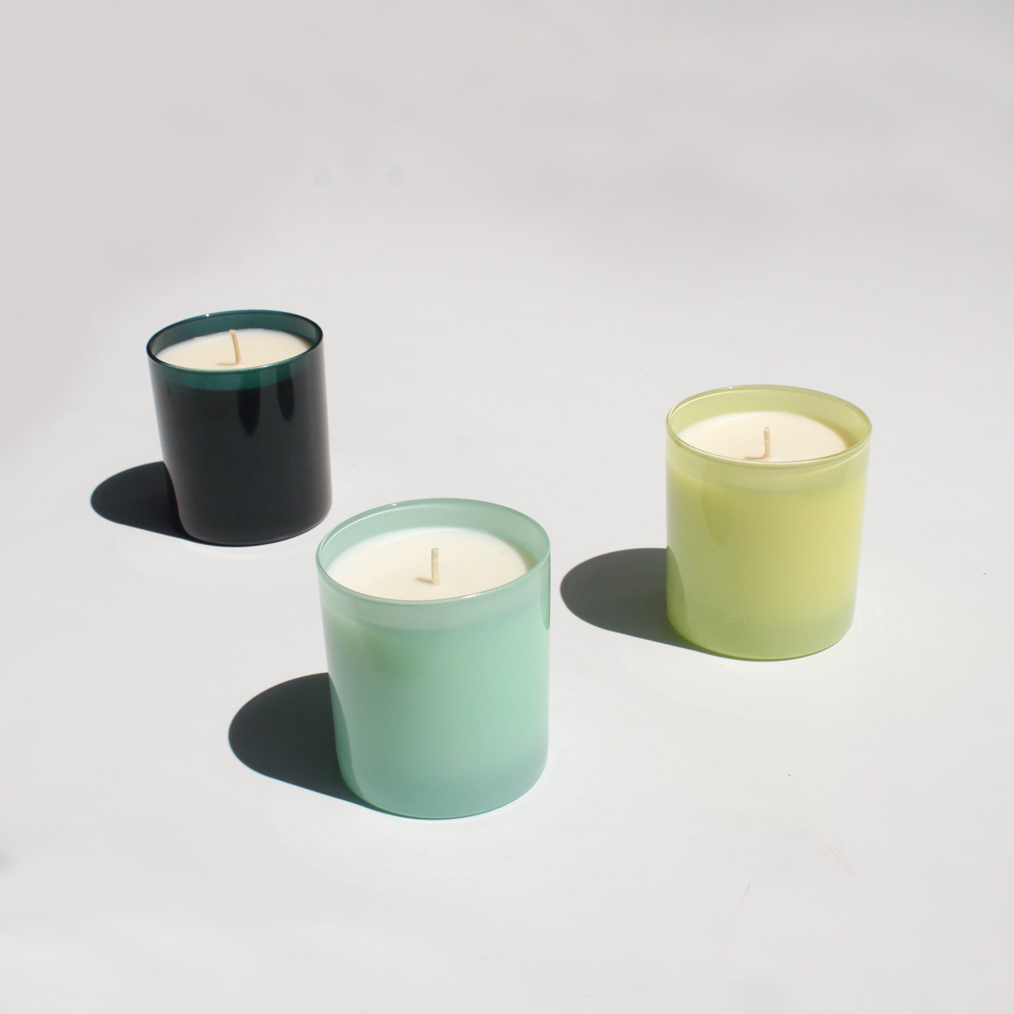 Garden 9 oz. Hue Soy Candle - Tomato Vine