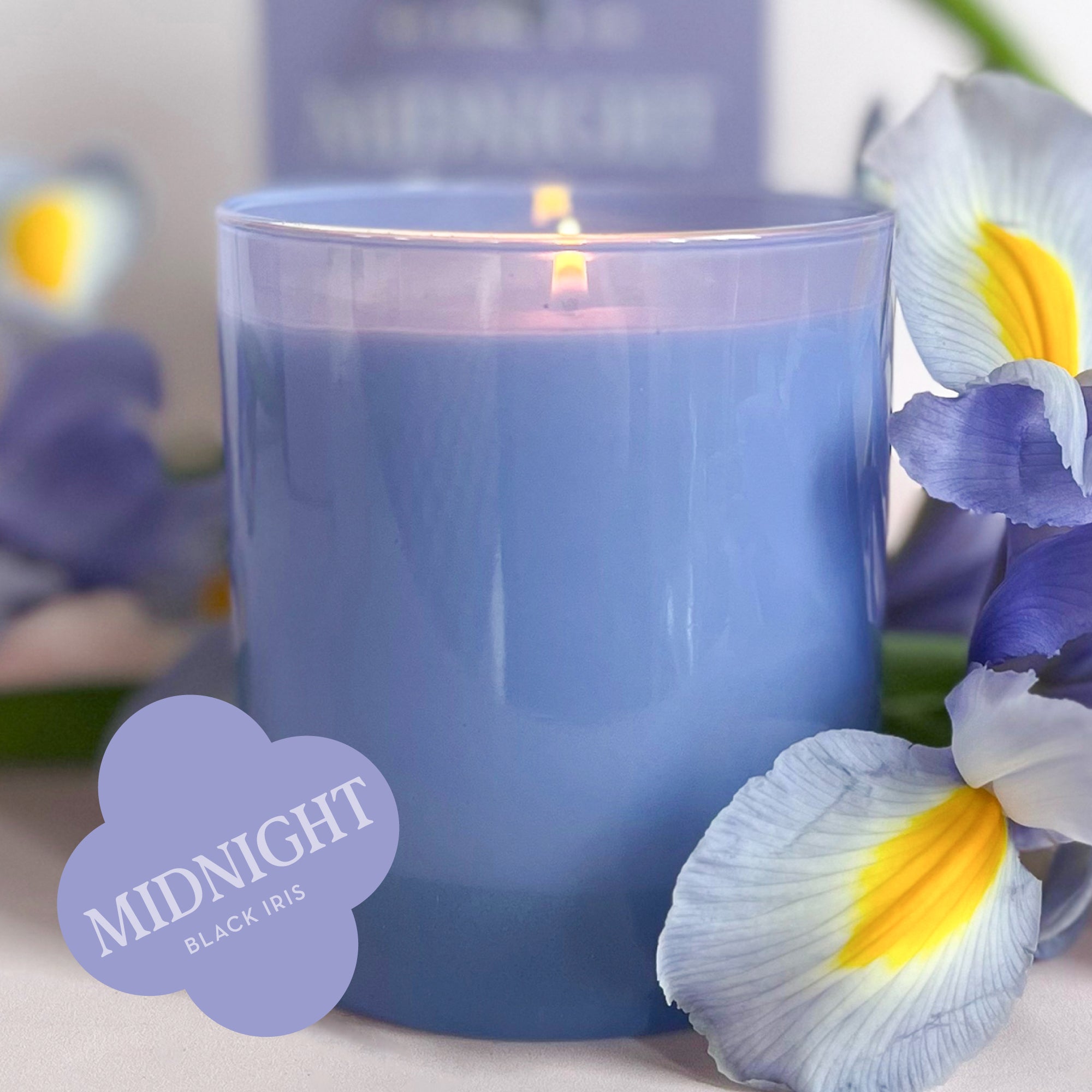 Midnight 9 oz. Hue Soy Candle - Black Iris