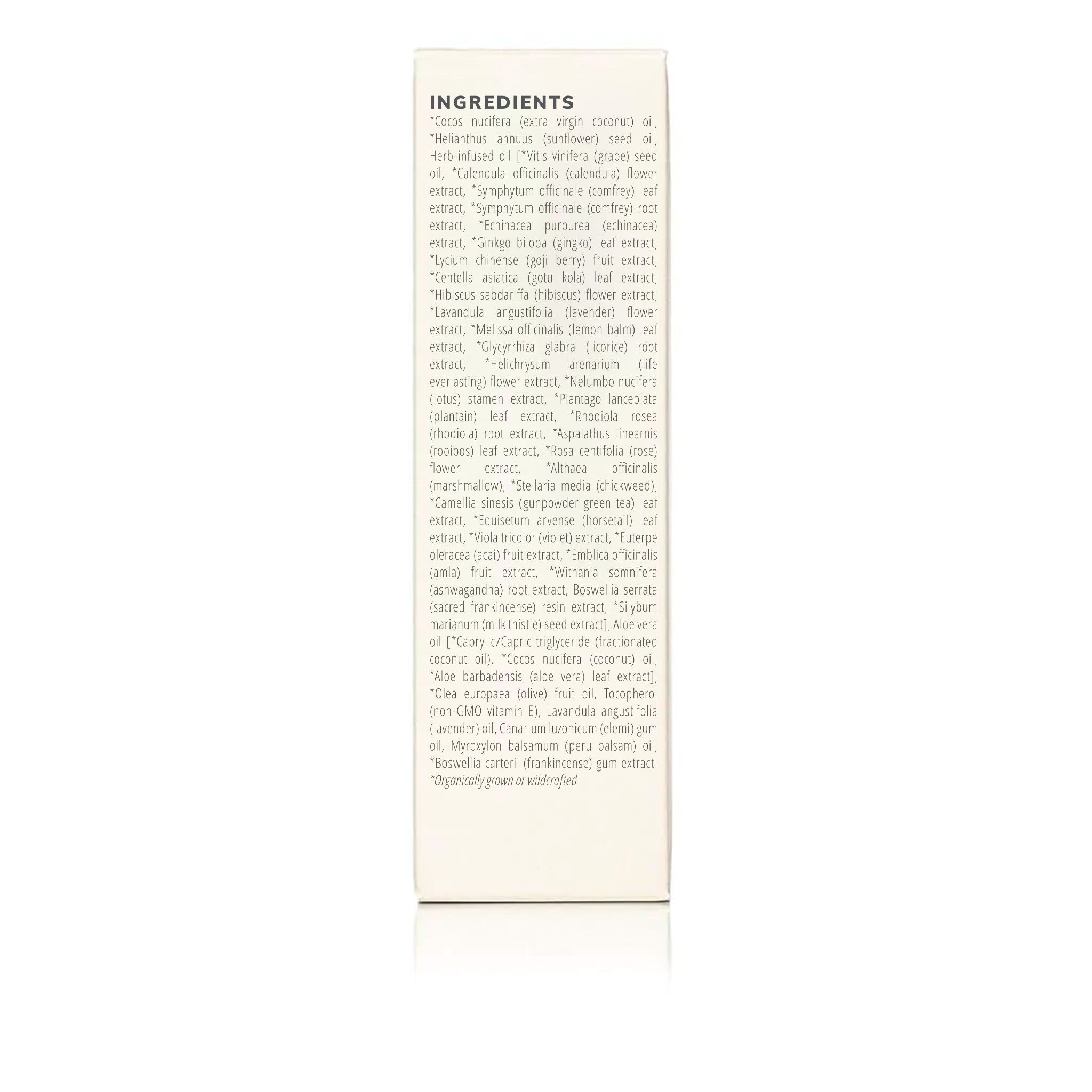 Herb-Infused Coconut Lavender Body Oil - 3.4 Oz
