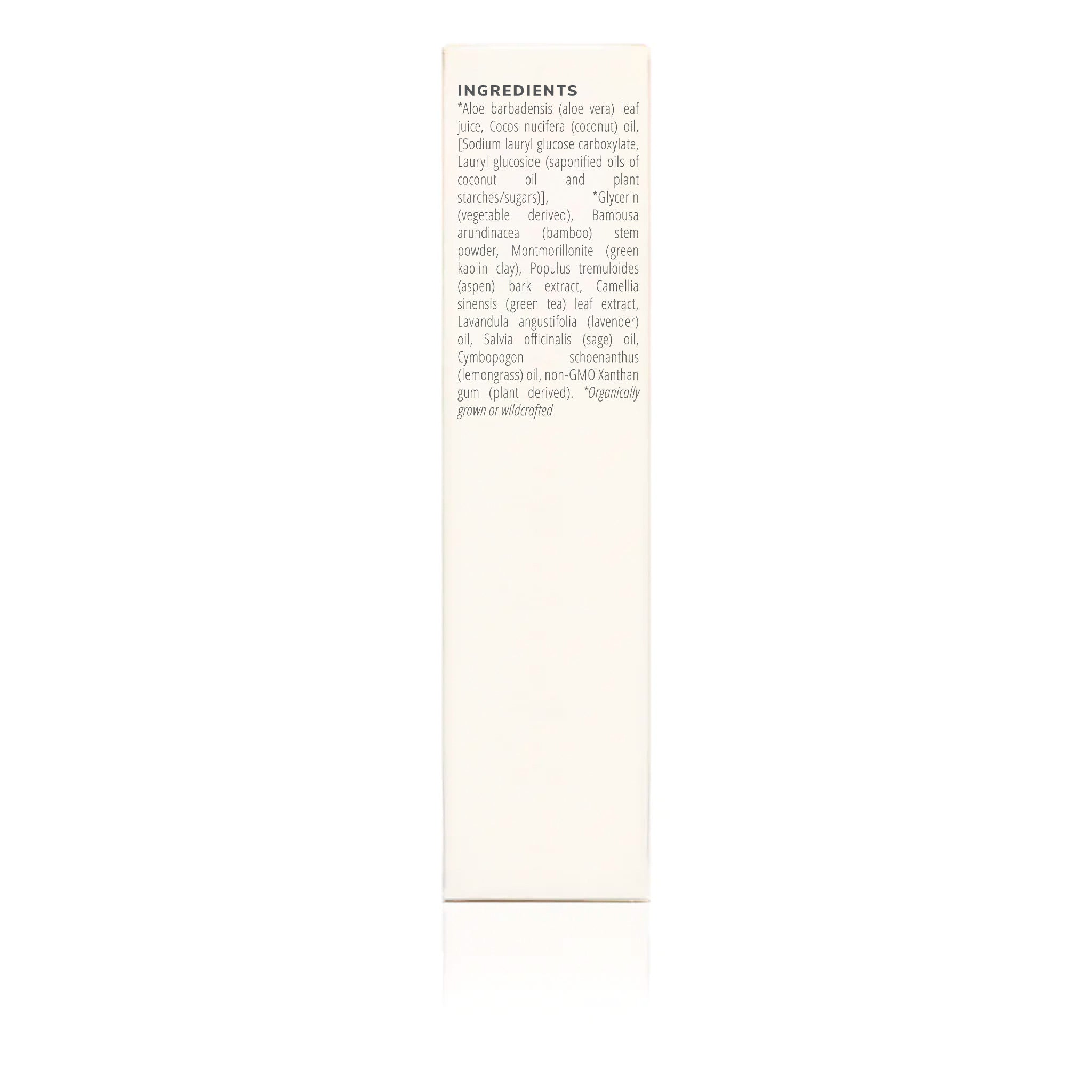 Kaolin Micro Exfoliant - 120ml